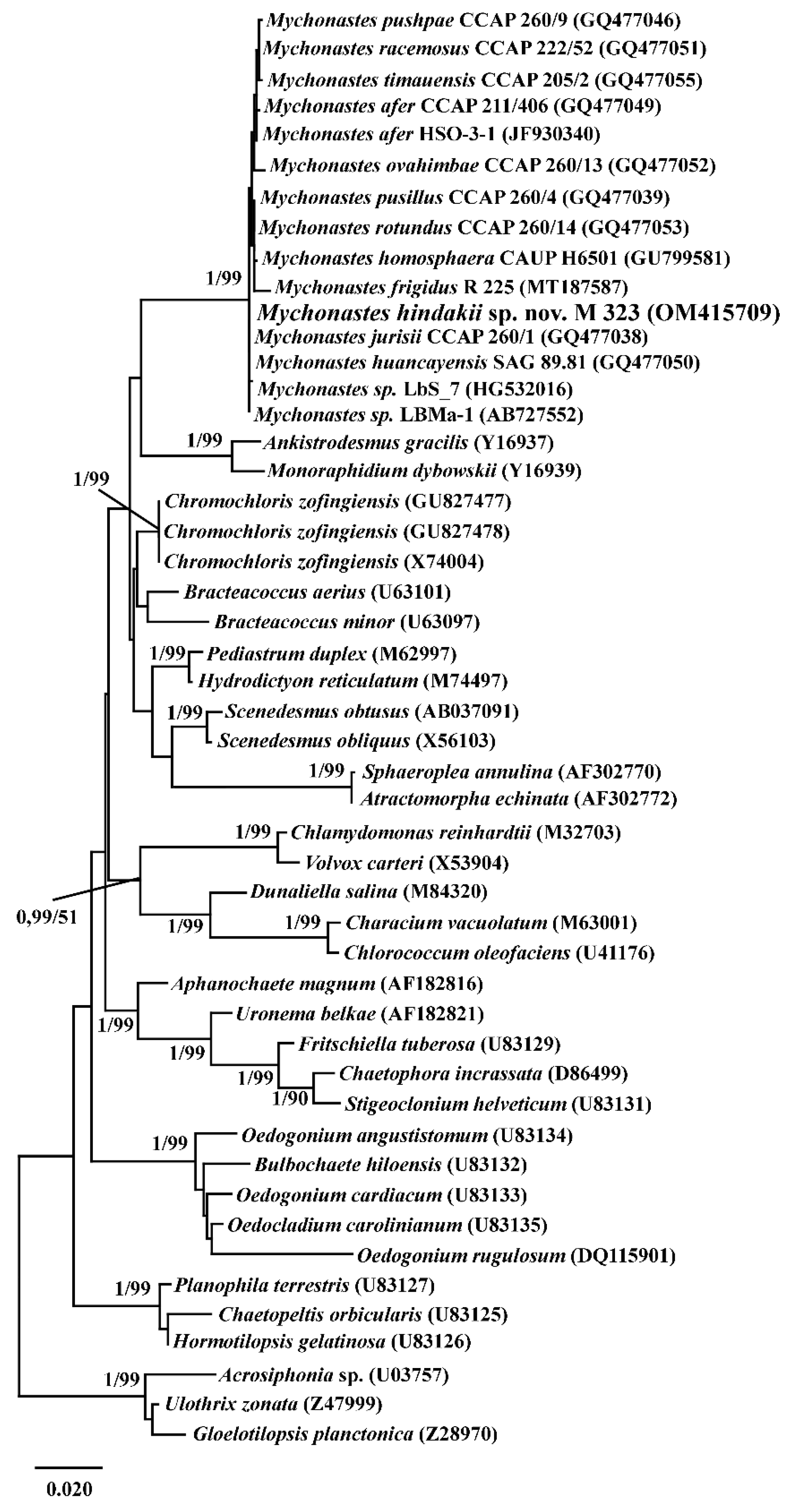 Plants 11 03363 g002 Plants 11 03363 g002