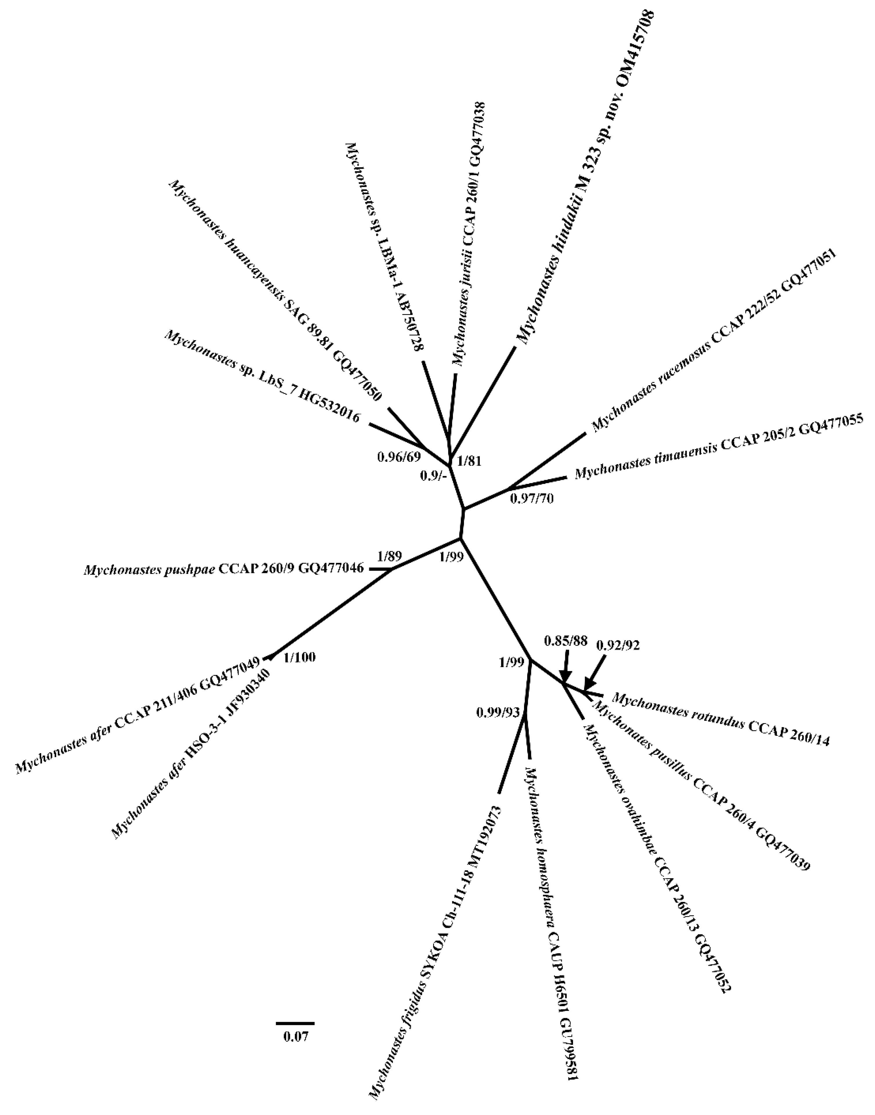 Plants 11 03363 g003 Plants 11 03363 g003