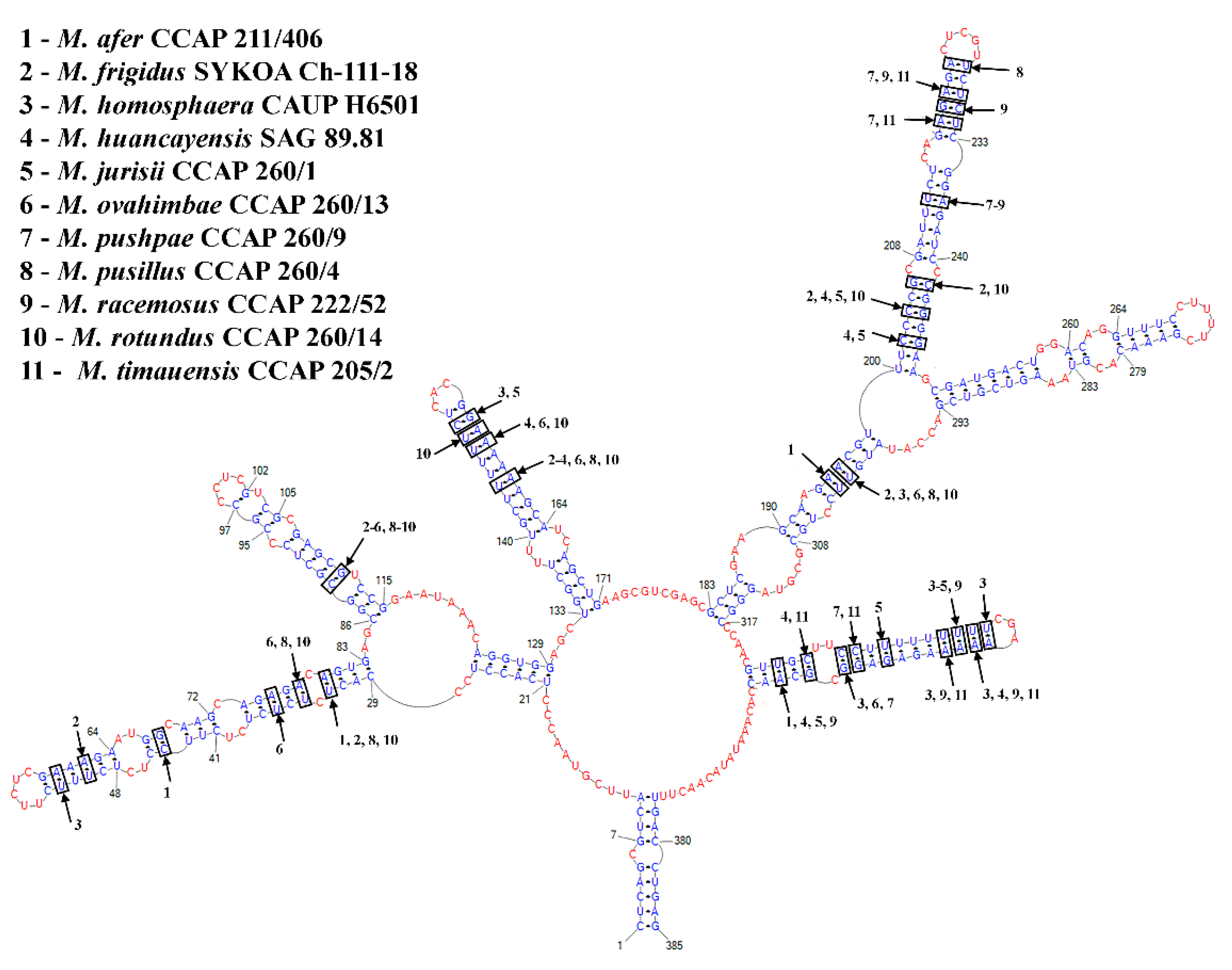 Plants 11 03363 g004 Plants 11 03363 g004