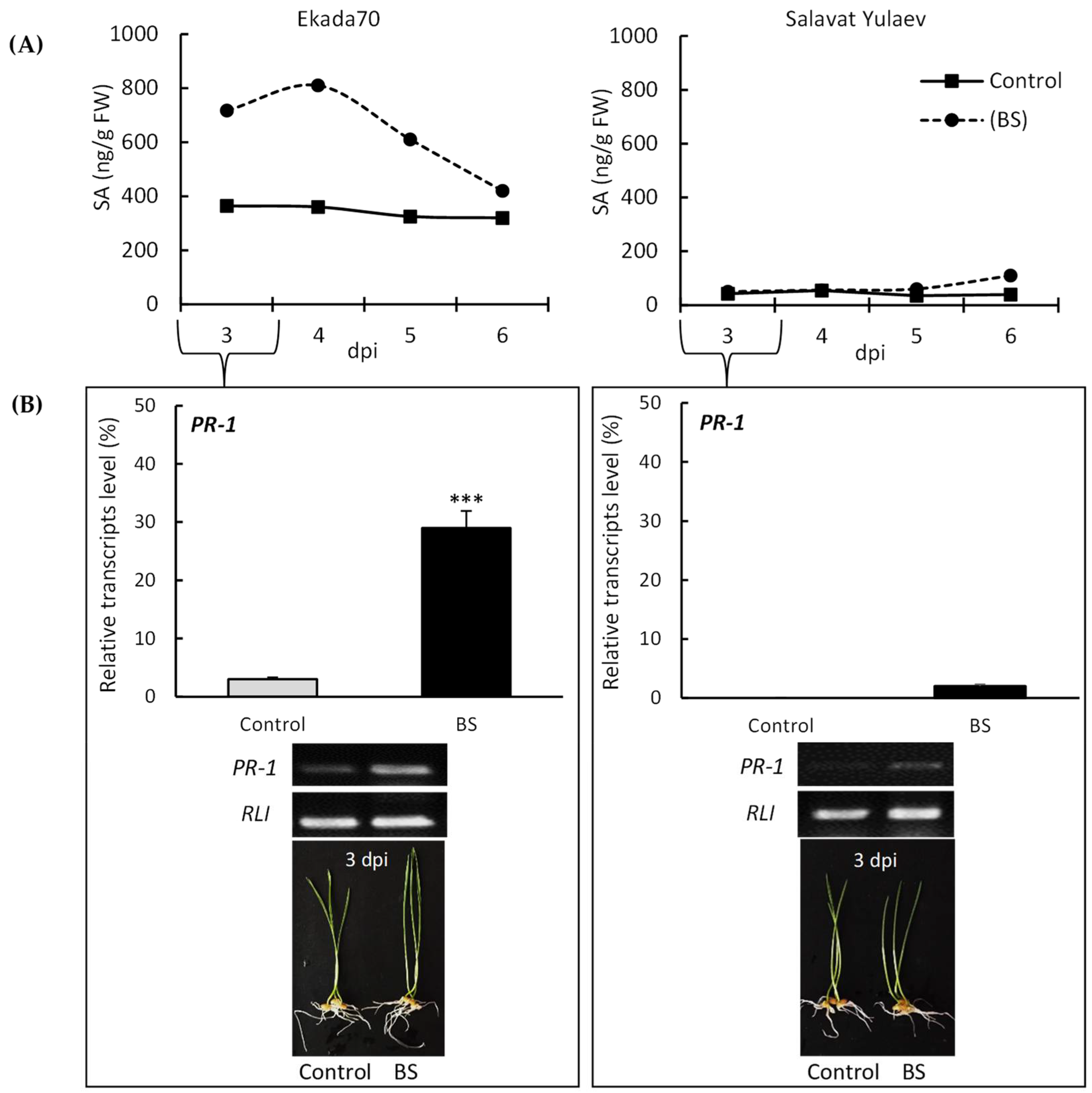 Plants 11 03365 g001