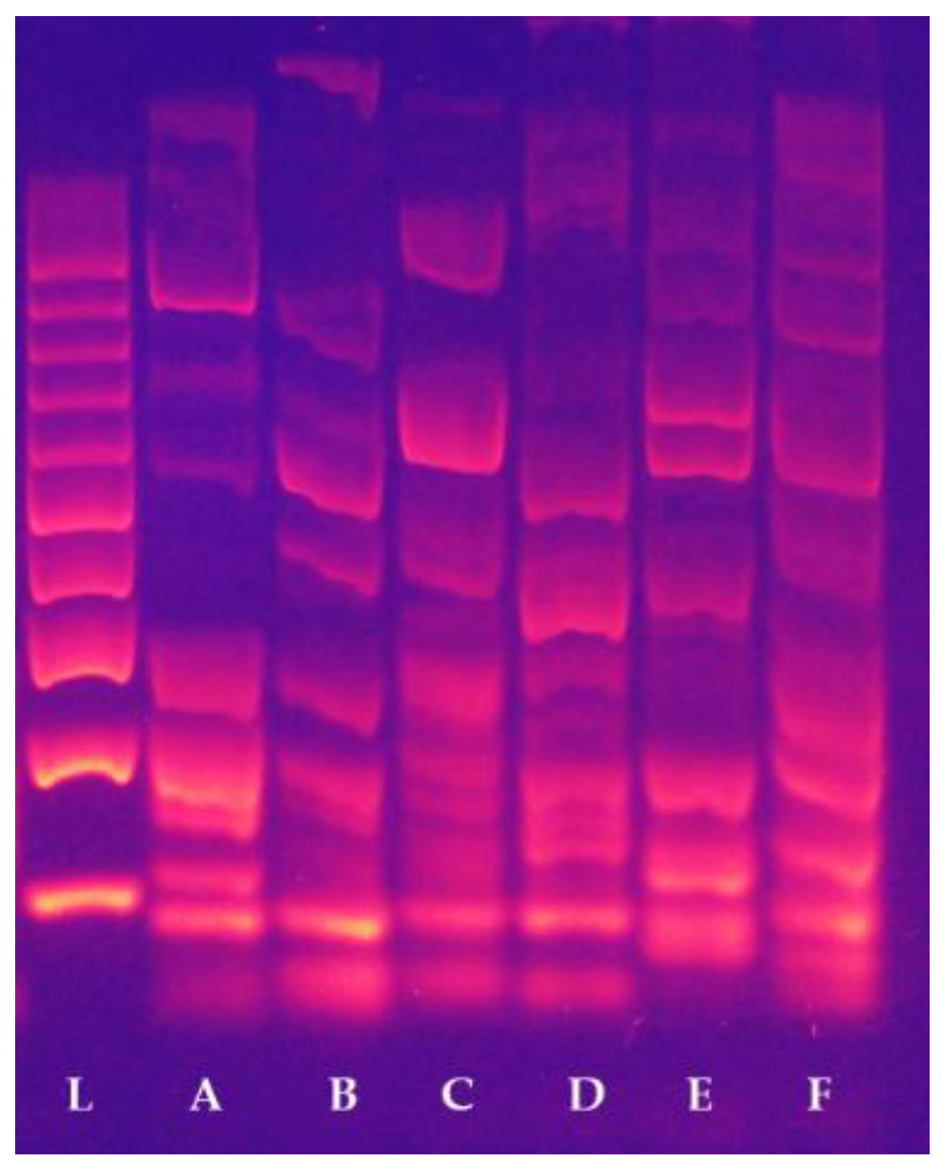 Plants 11 03375 g002 Plants 11 03375 g002