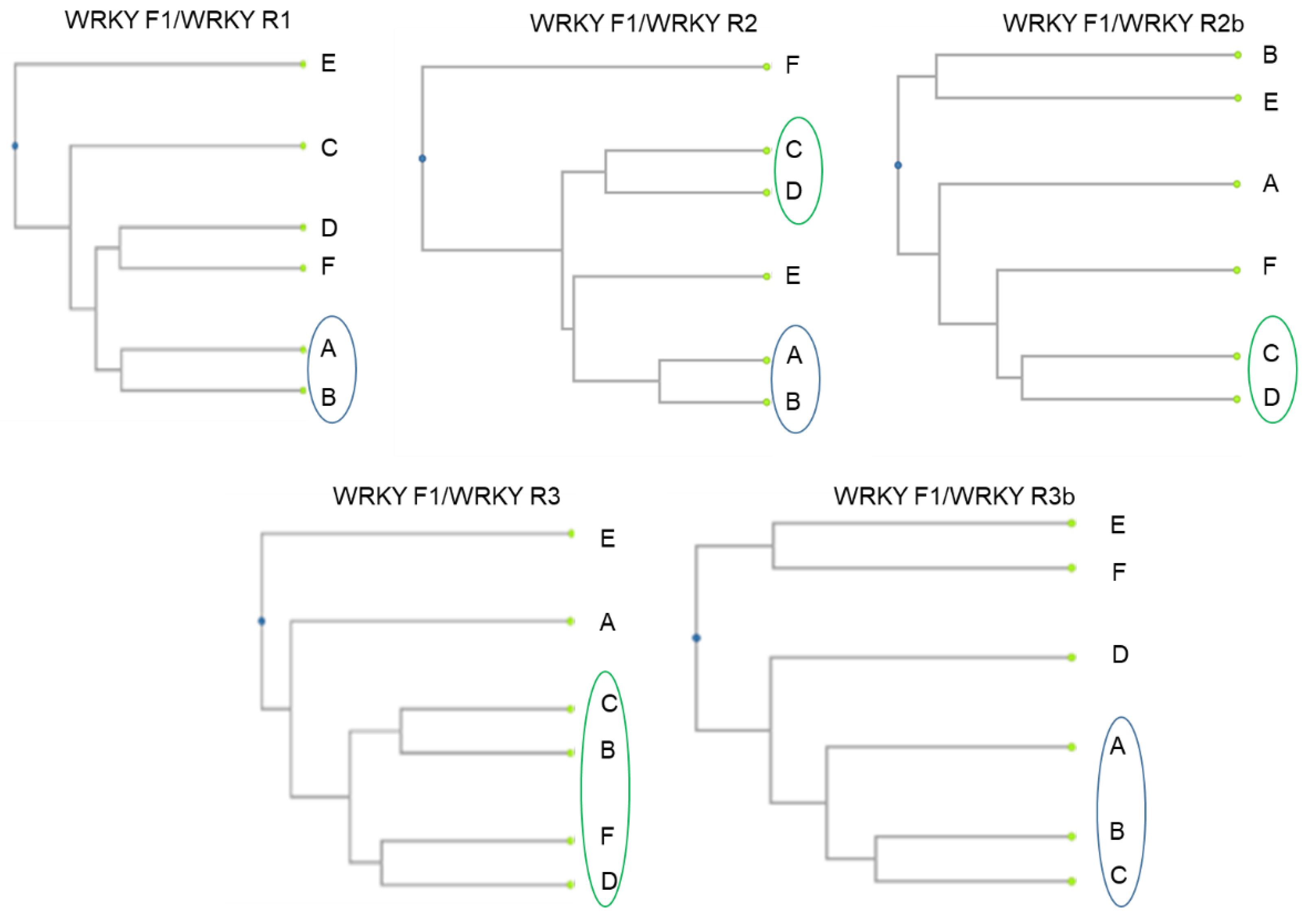 Plants 11 03375 g003 Plants 11 03375 g003