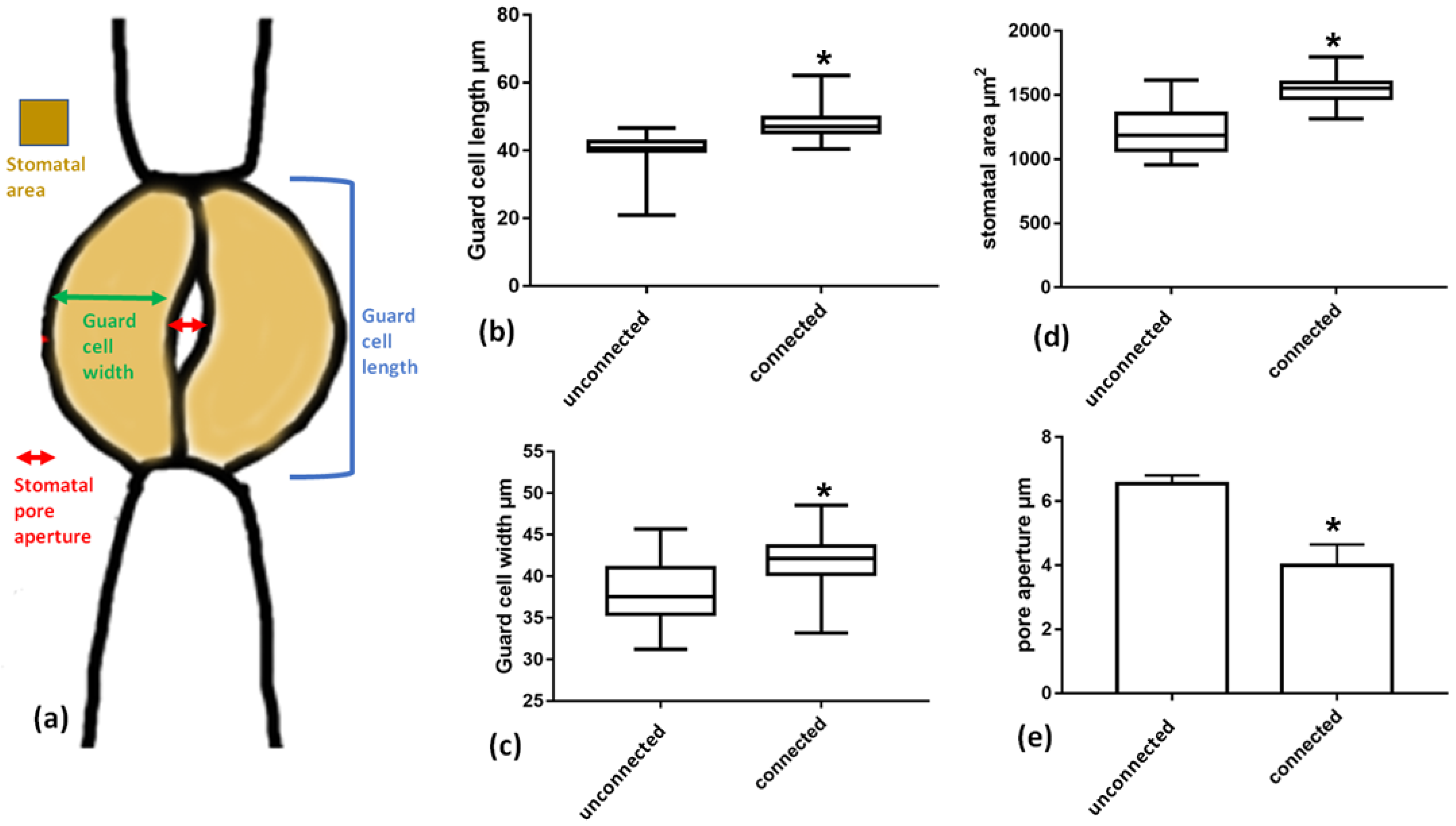 Plants 11 03377 g011
