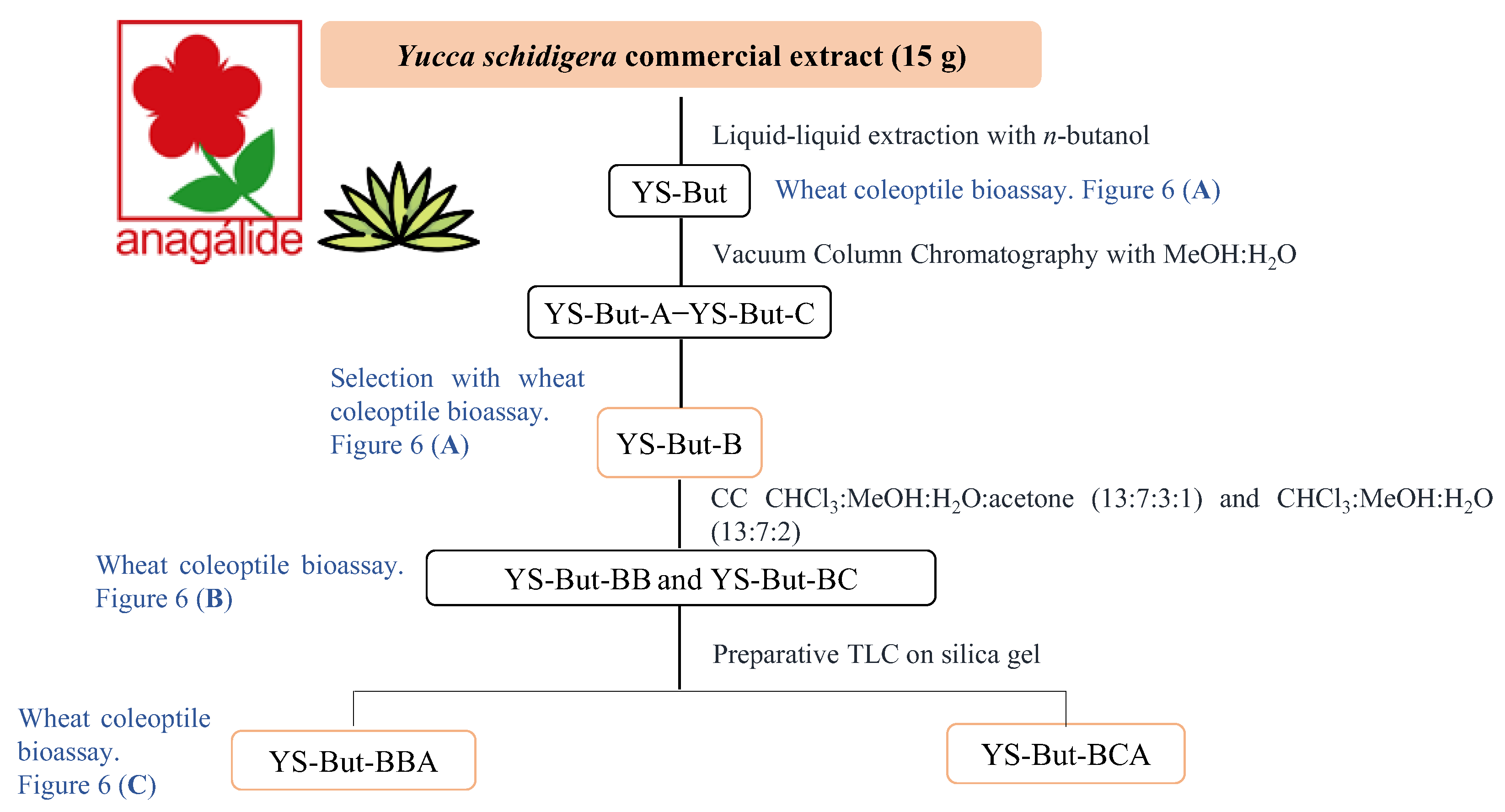 Plants 11 03378 g005