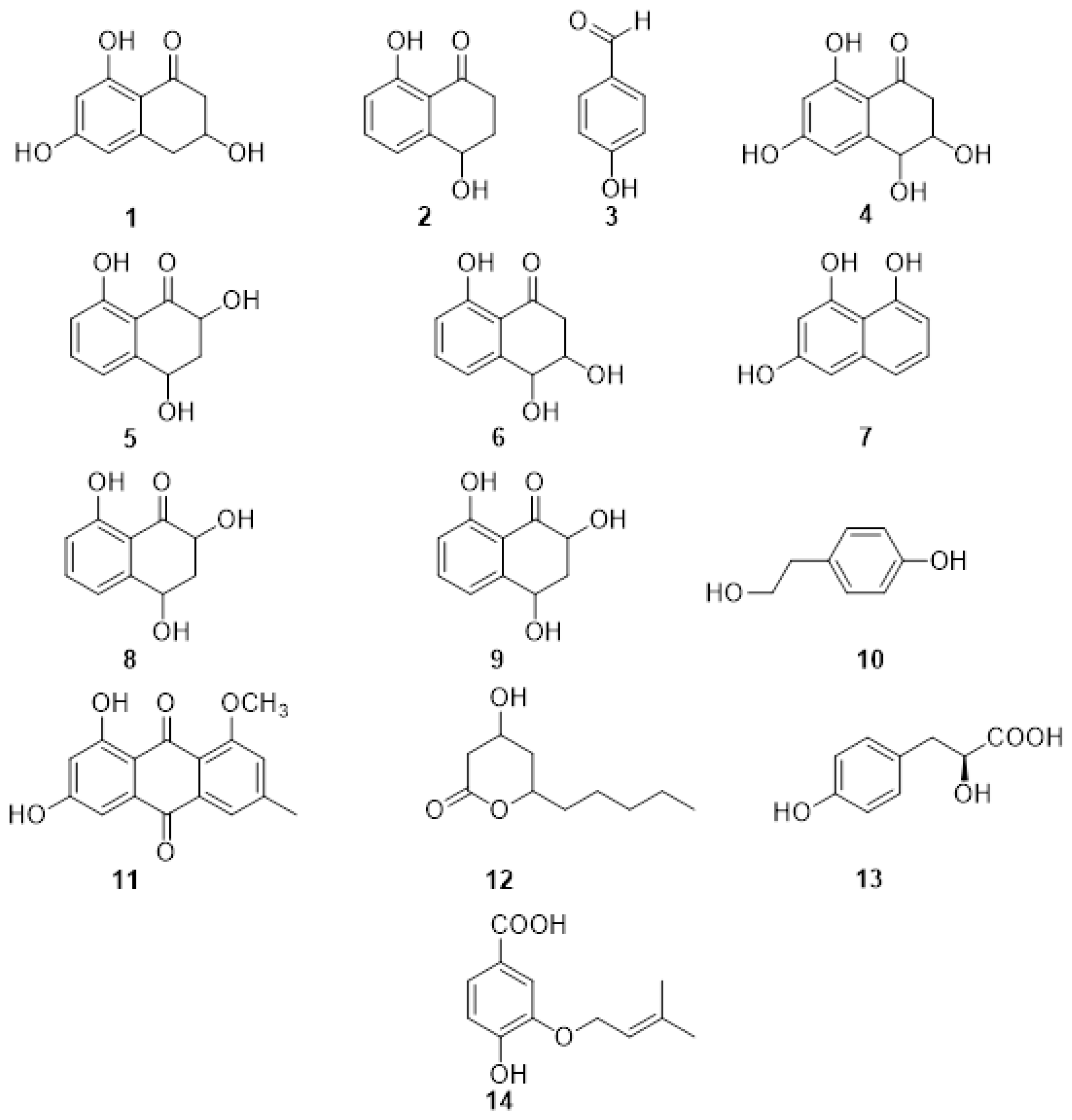 Plants 11 03382 g002