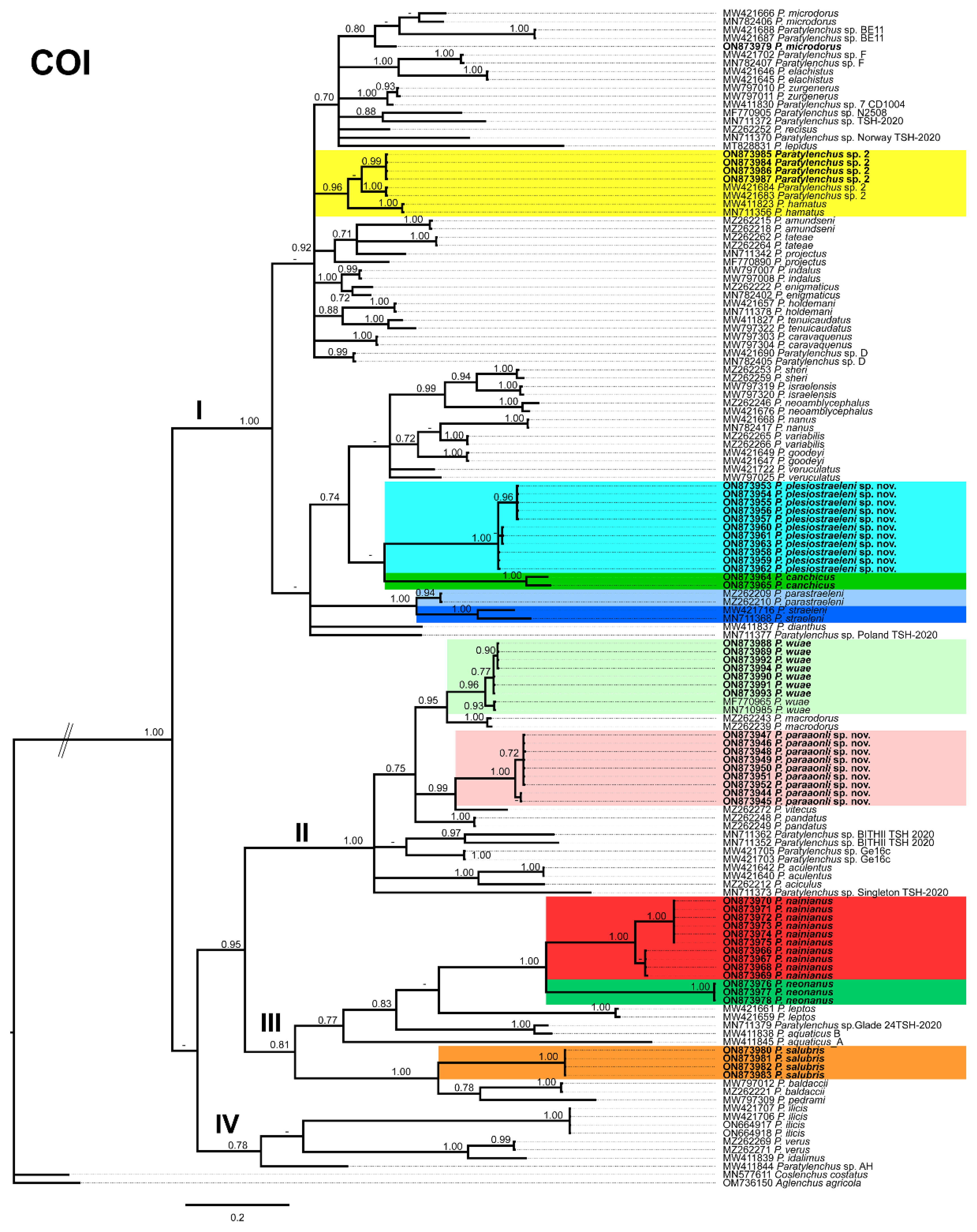 Plants 11 03385 g016