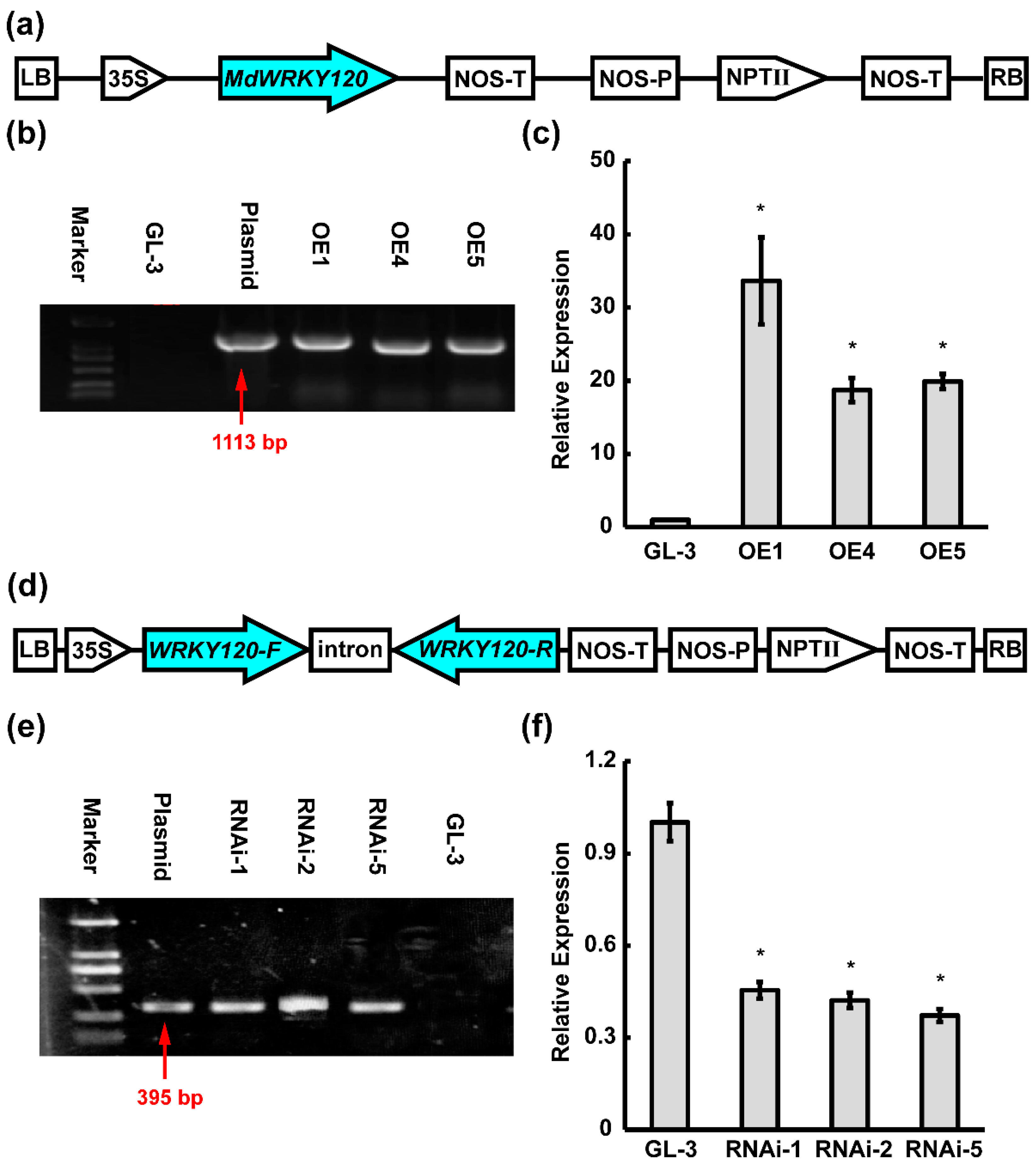 Plants 11 03389 g005