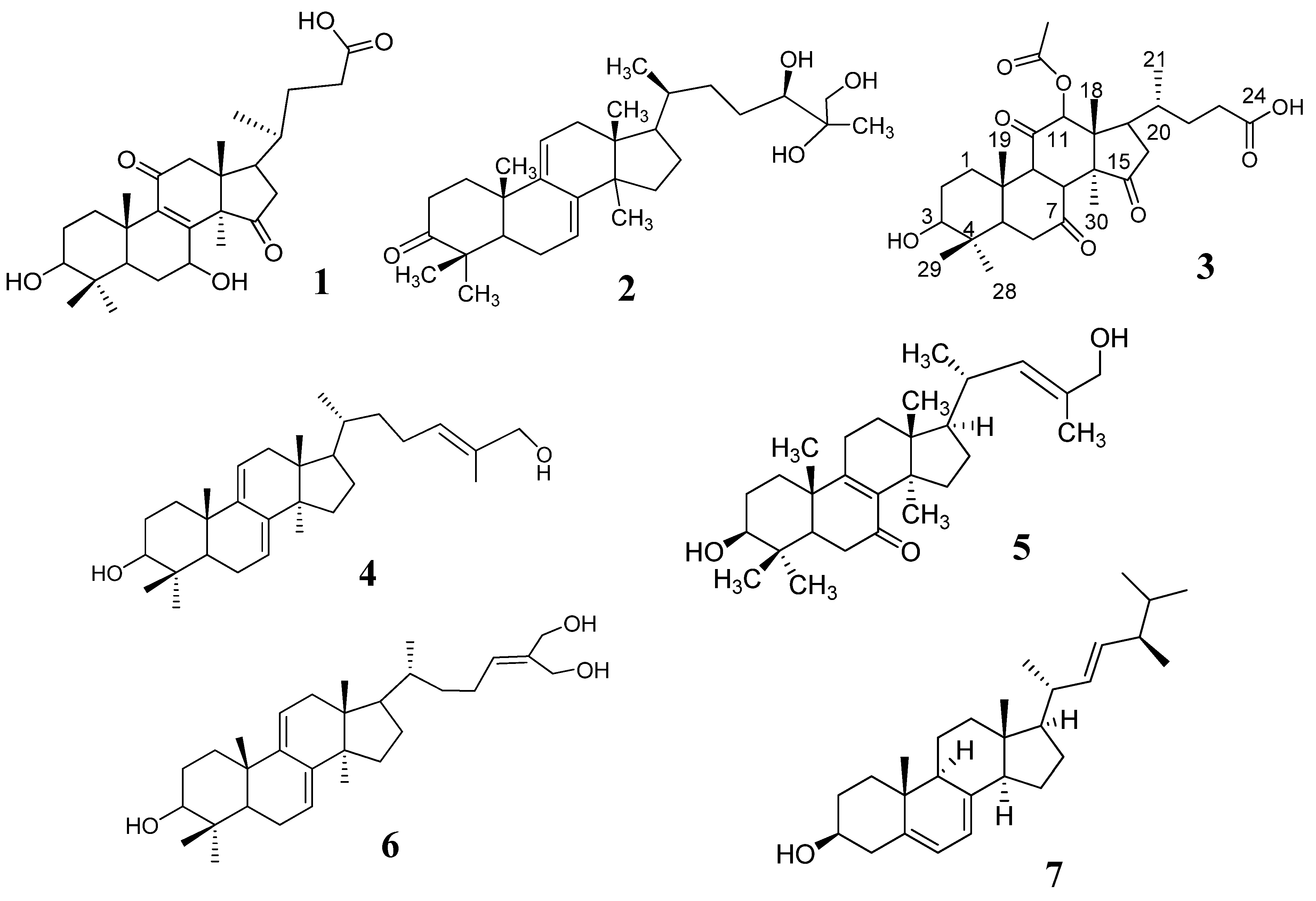 Plants 11 03397 g001