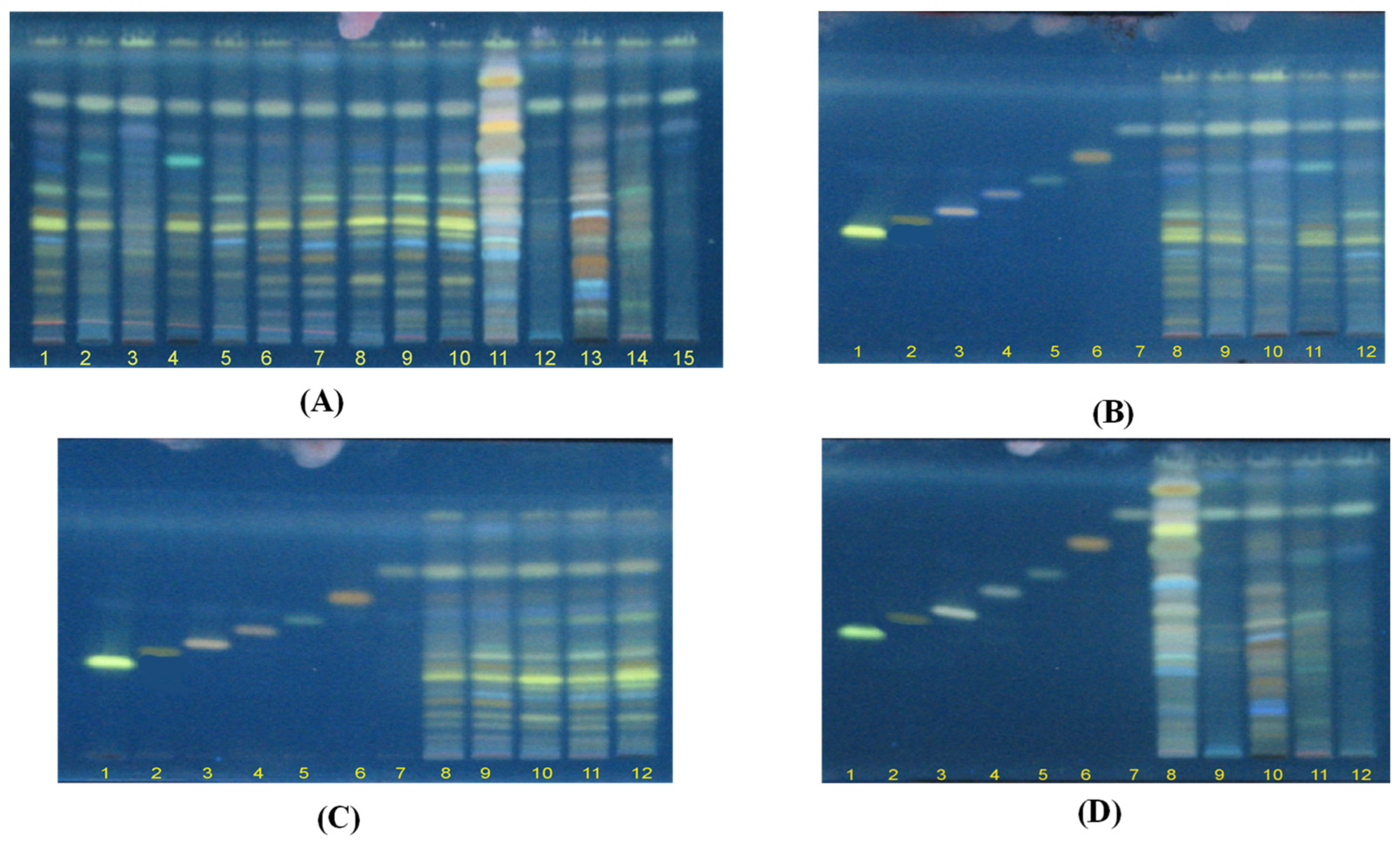 Plants 11 03397 g002