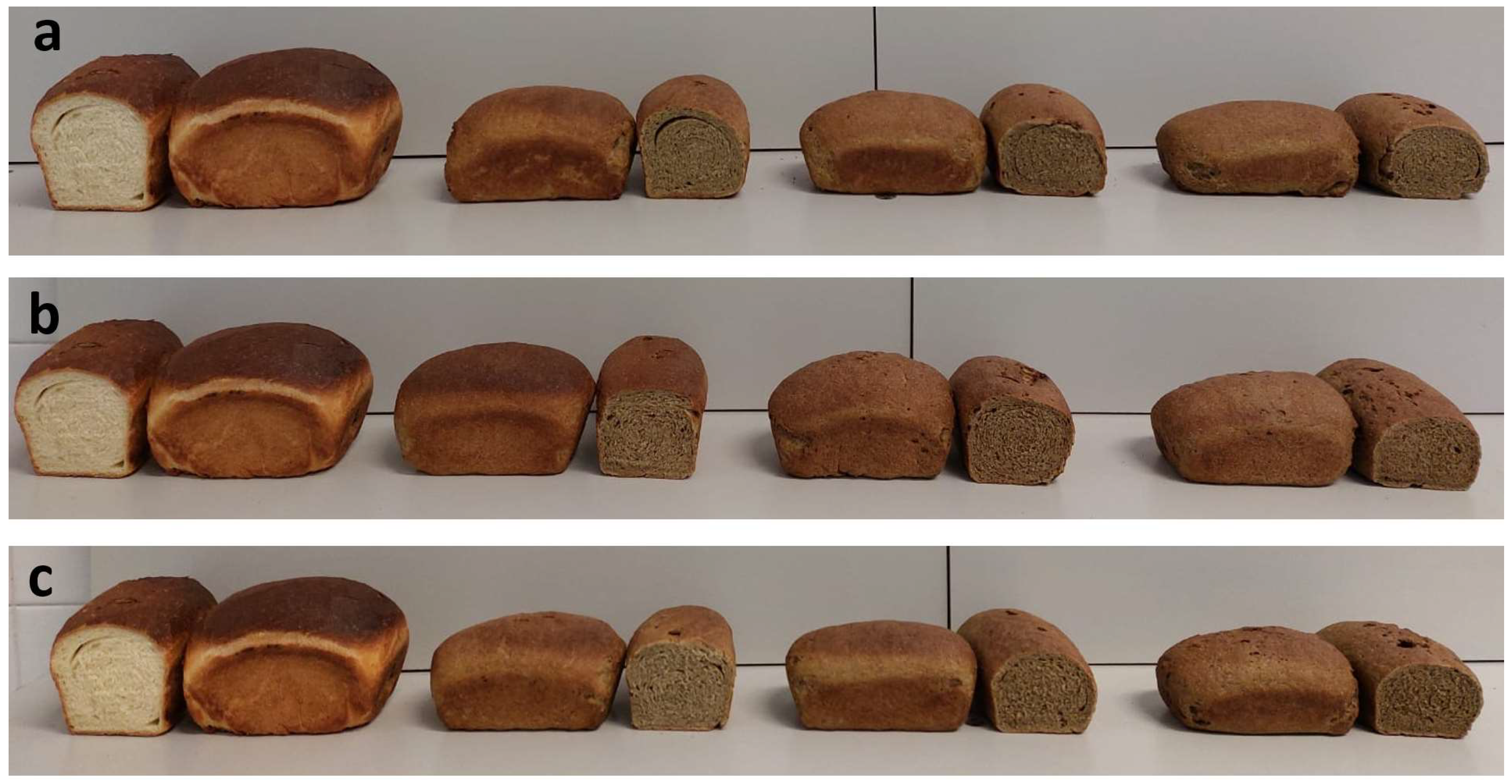 Plants 11 03409 g004