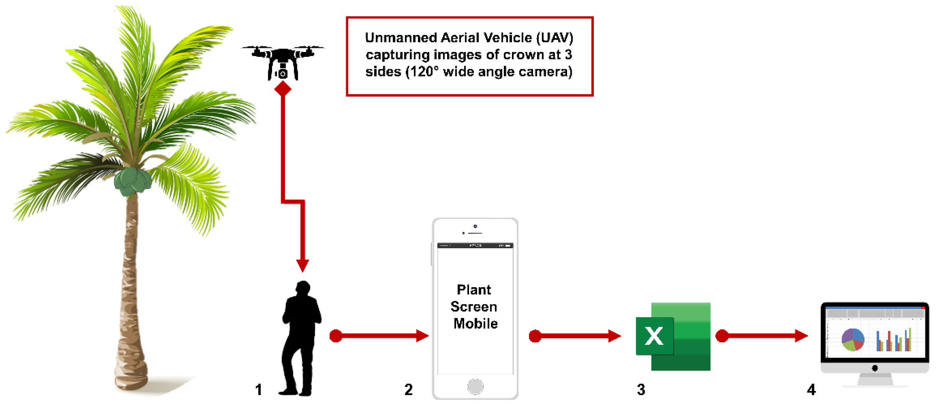 Plants 11 03414 g003 Plants 11 03414 g003