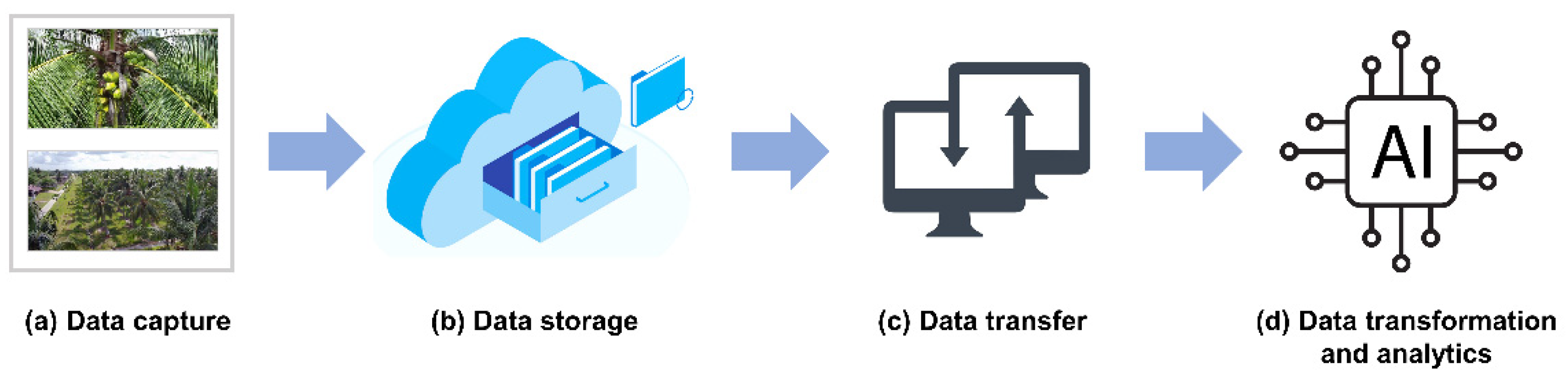 Plants 11 03414 g004 Plants 11 03414 g004