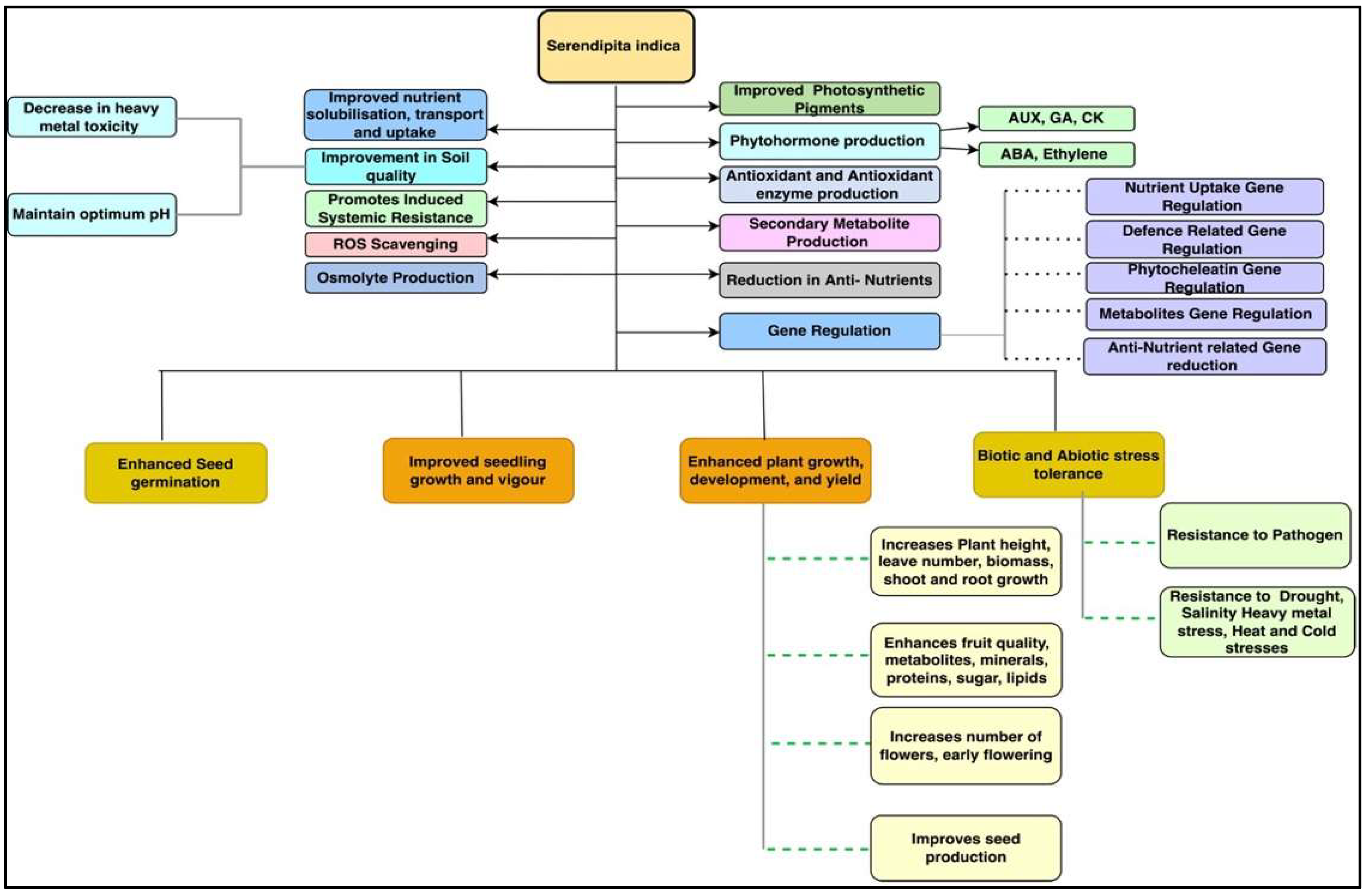 Plants 11 03417 g004 Plants 11 03417 g004