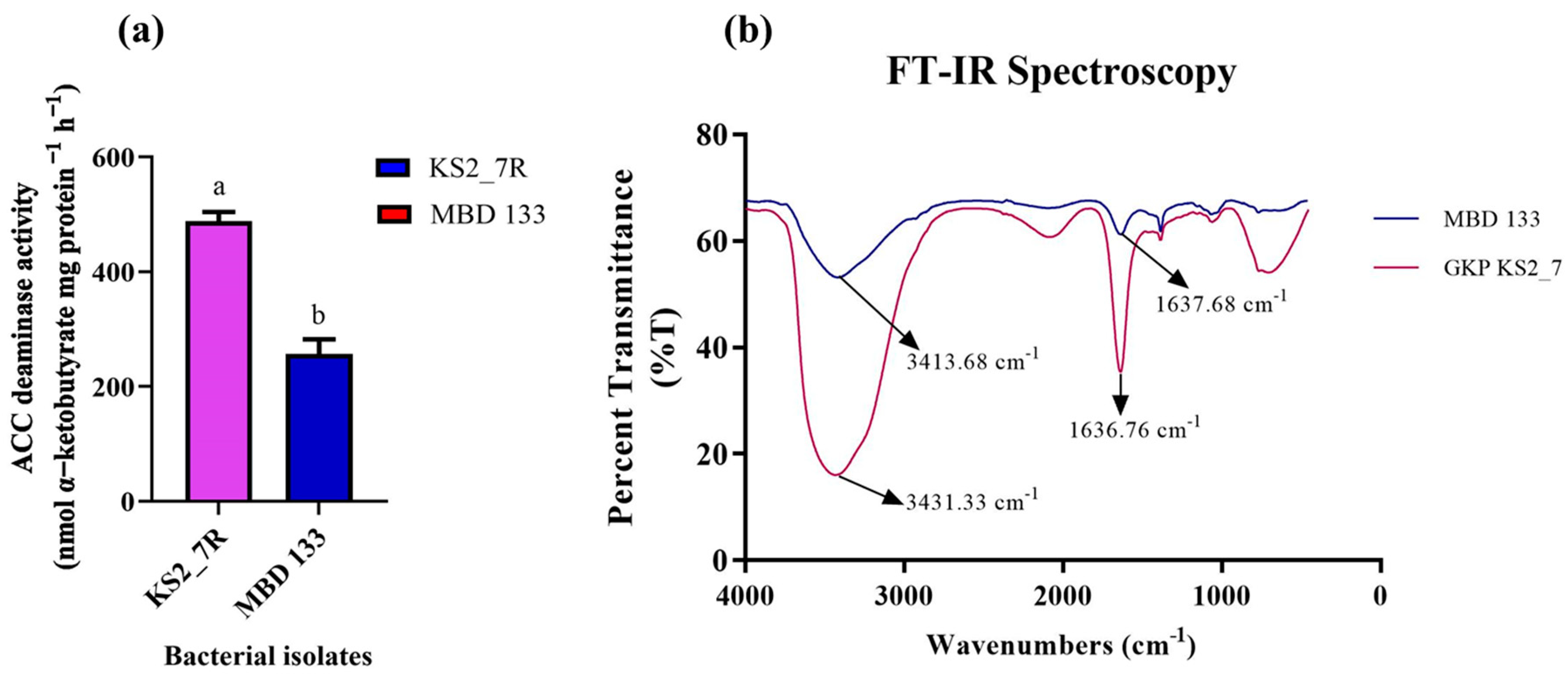Plants 11 03419 g001 Plants 11 03419 g001