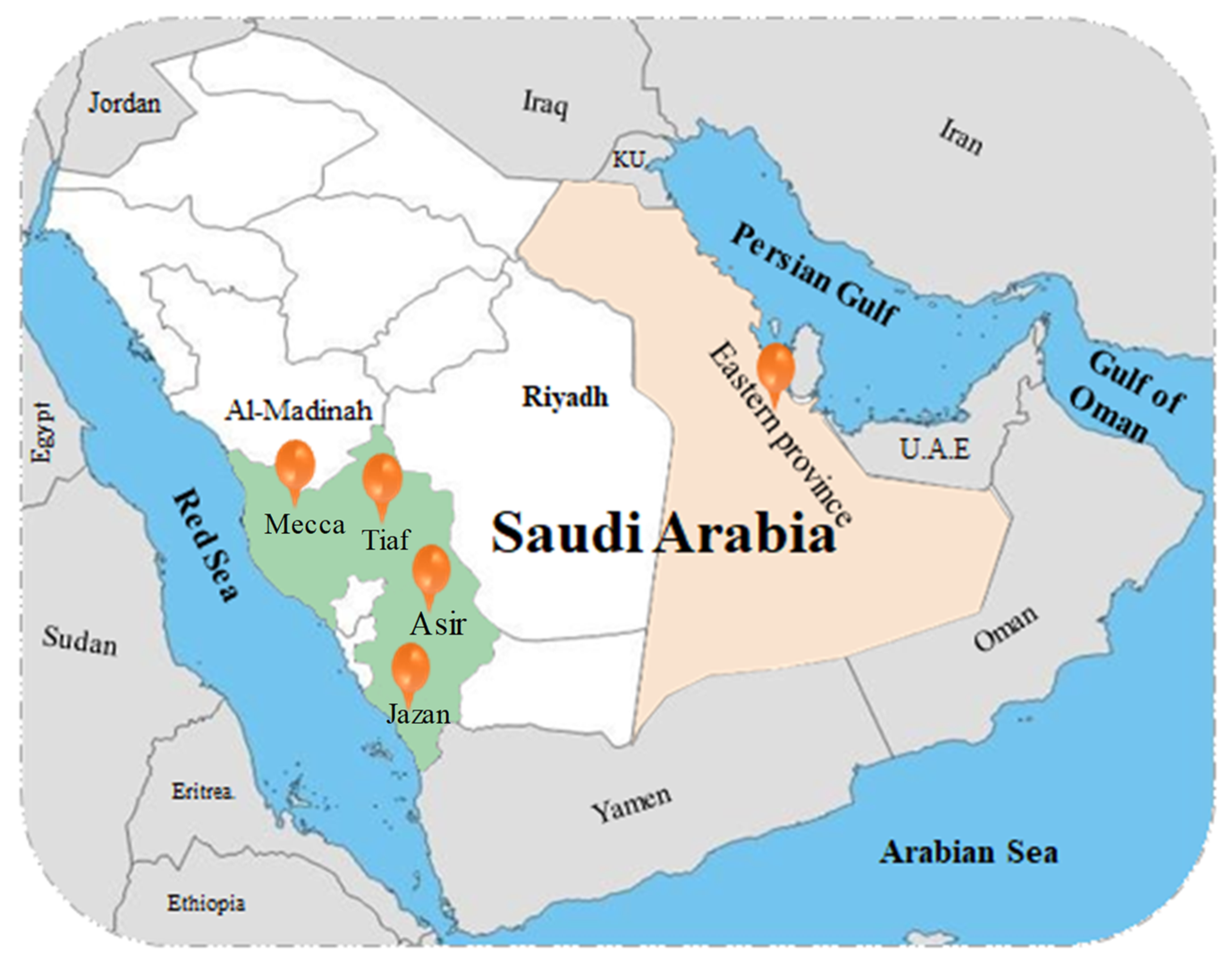 Plants | Free Full-Text | Saudi Arabian Plants: A Powerful Weapon against a  Plethora of Diseases