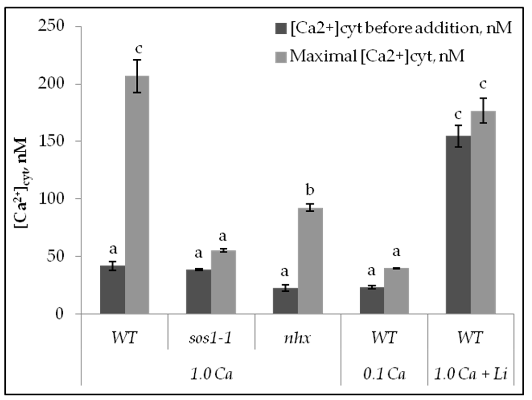 Plants 11 03439 g004 Plants 11 03439 g004