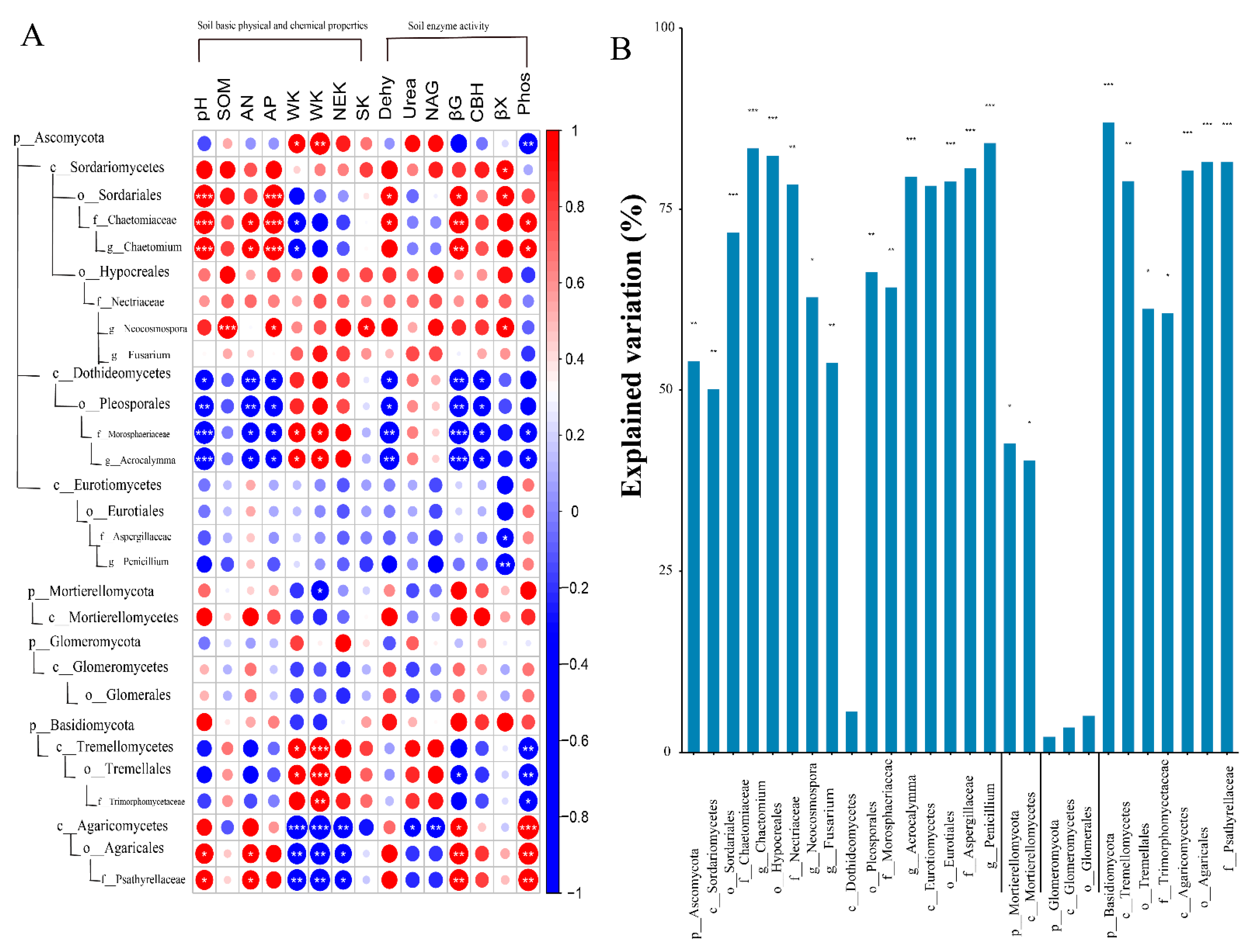 Plants 11 03442 g004