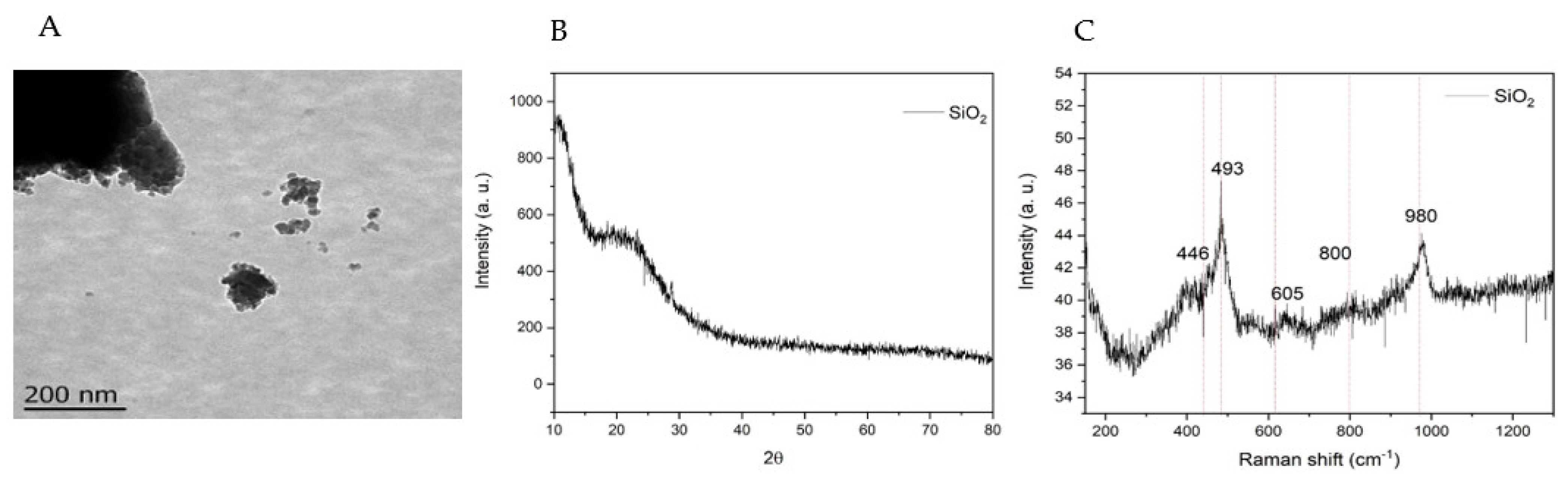 Plants 11 03445 g001