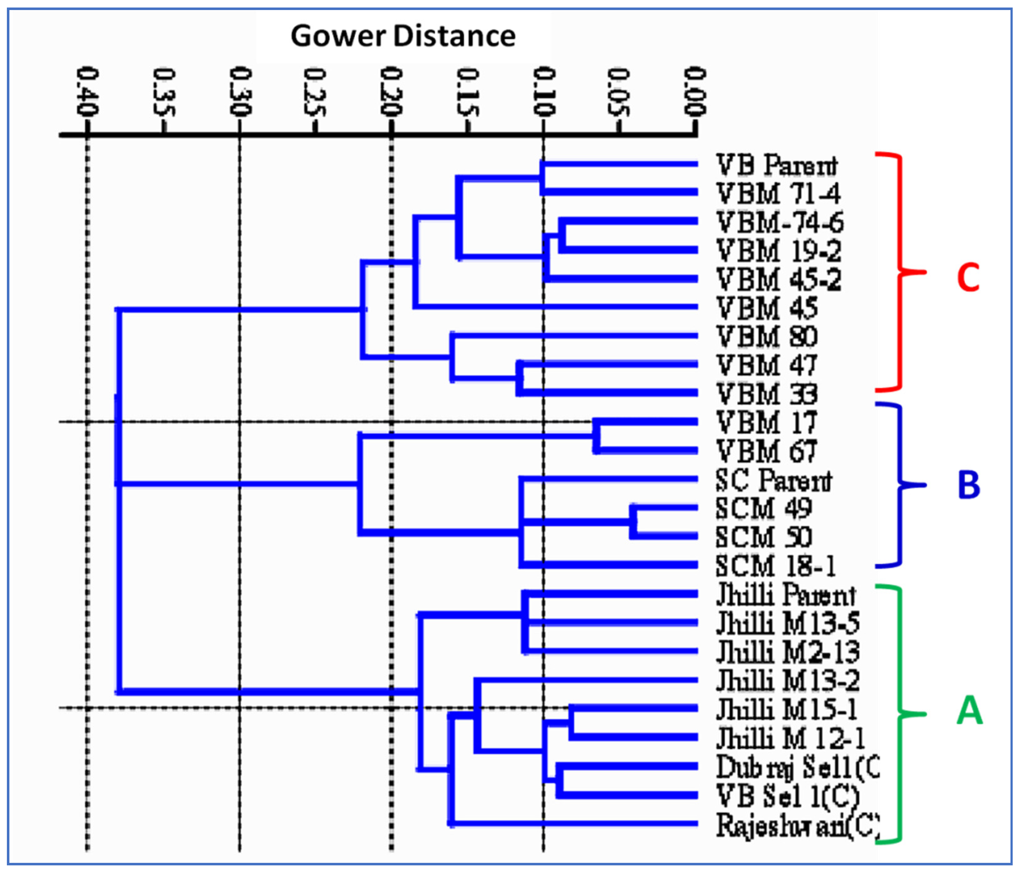 Plants 11 03448 g009 Plants 11 03448 g009