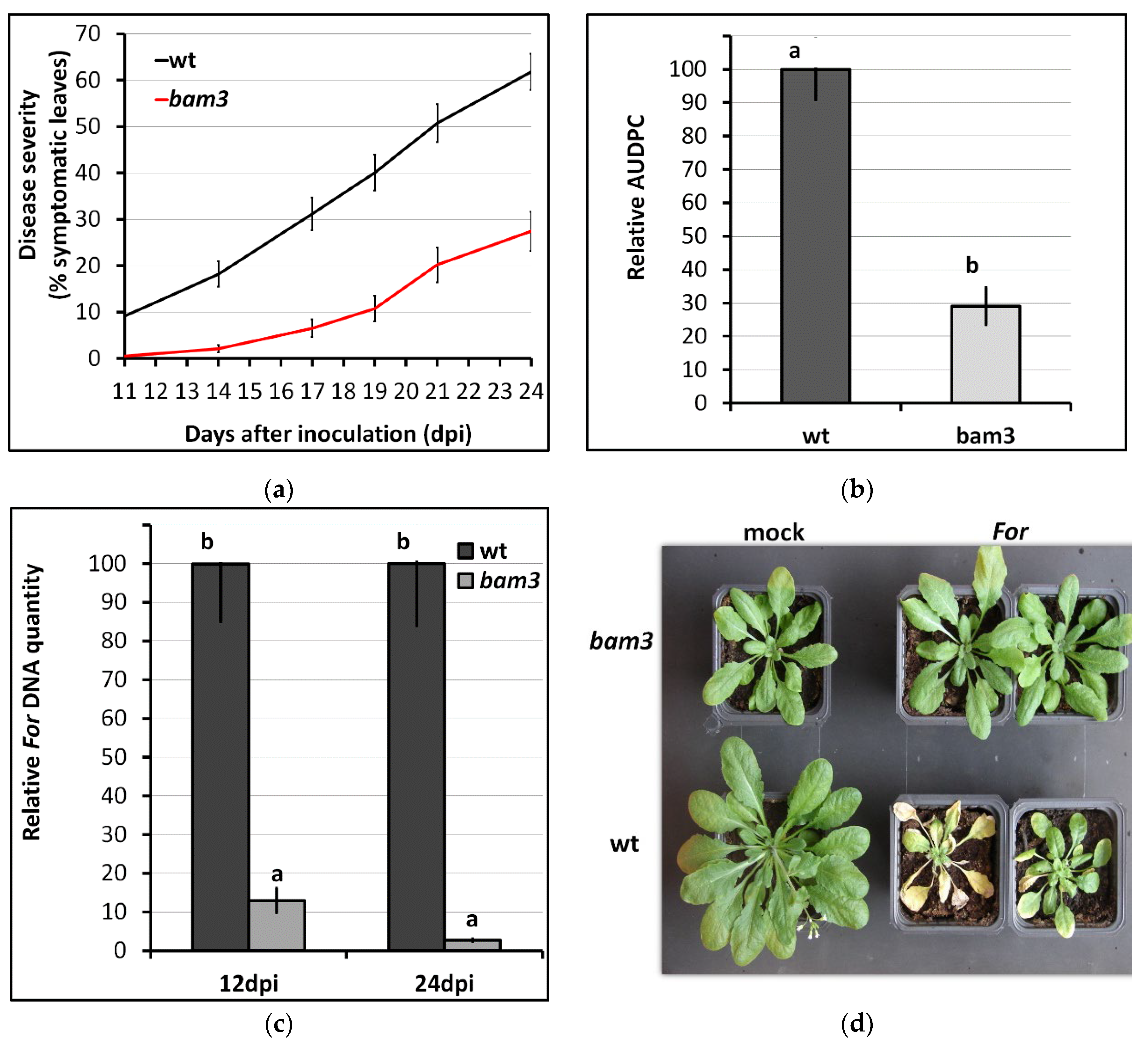Plants 11 03457 g001
