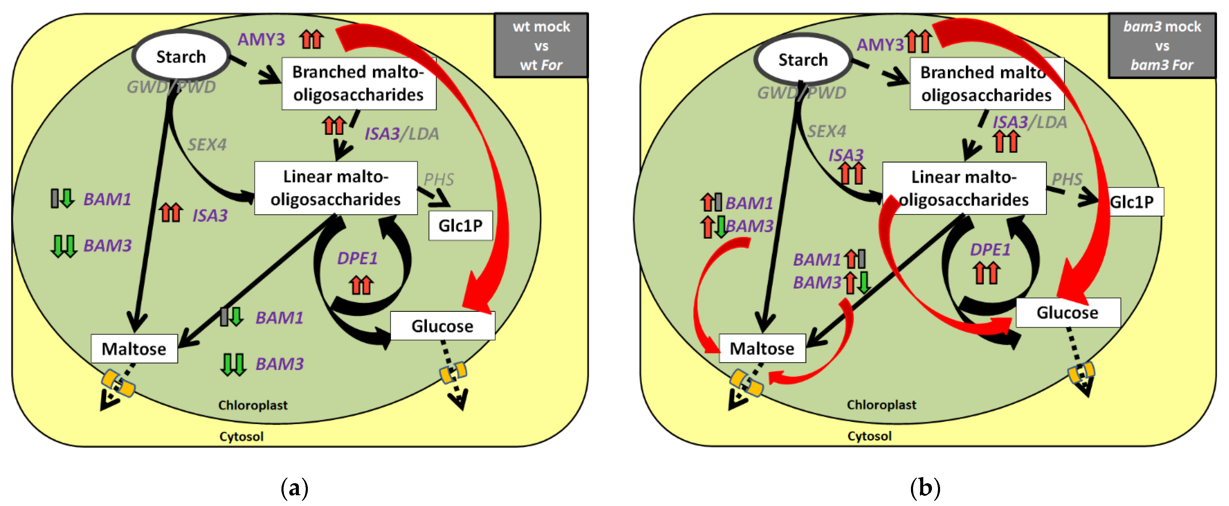 Plants 11 03457 g010