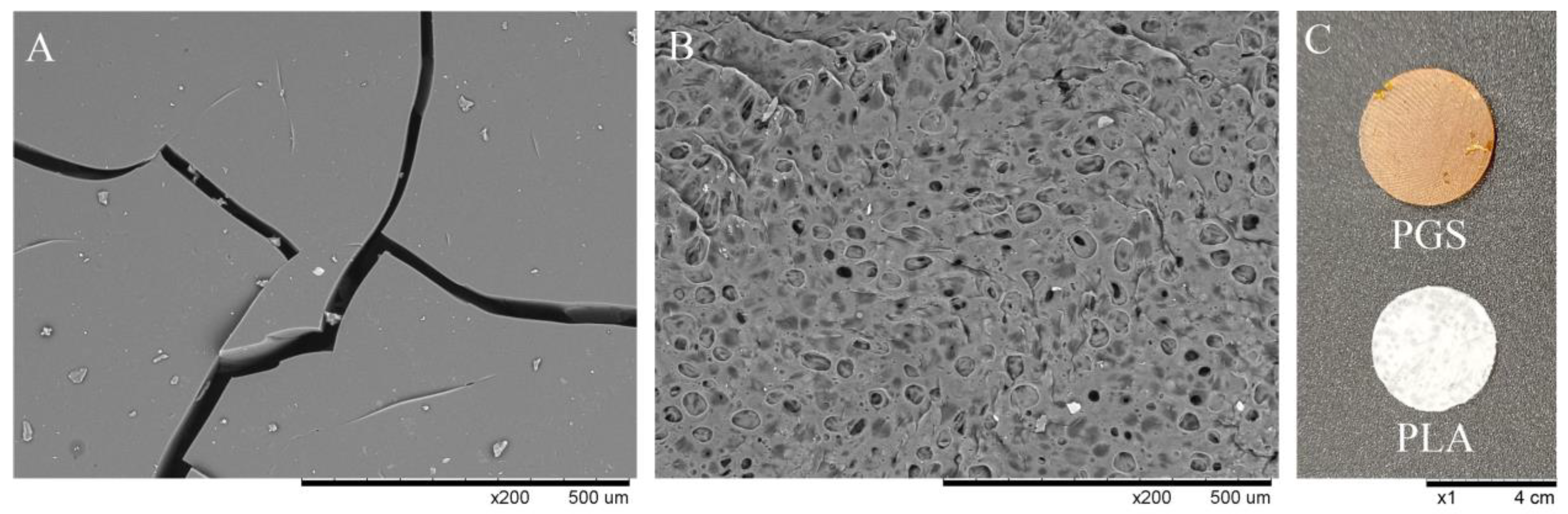 Plants 11 03462 g002 Plants 11 03462 g002