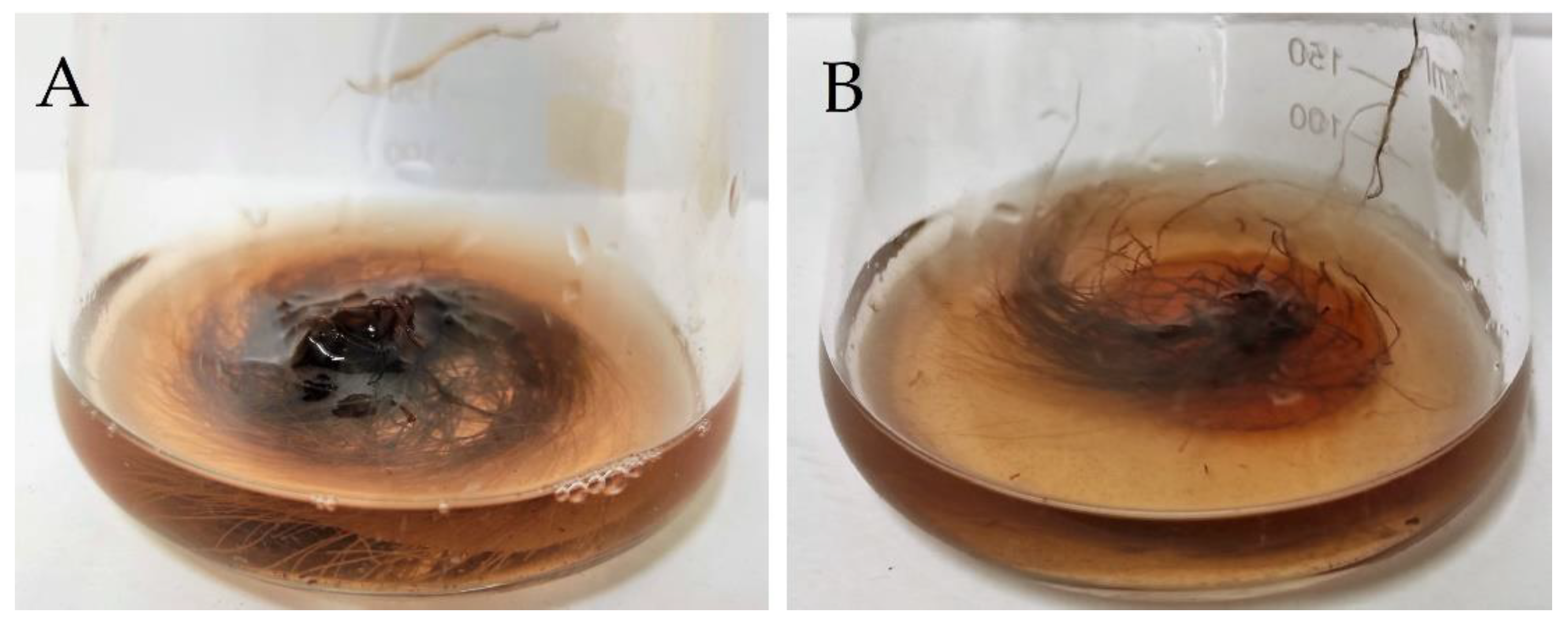 Plants 11 03462 g005 Plants 11 03462 g005