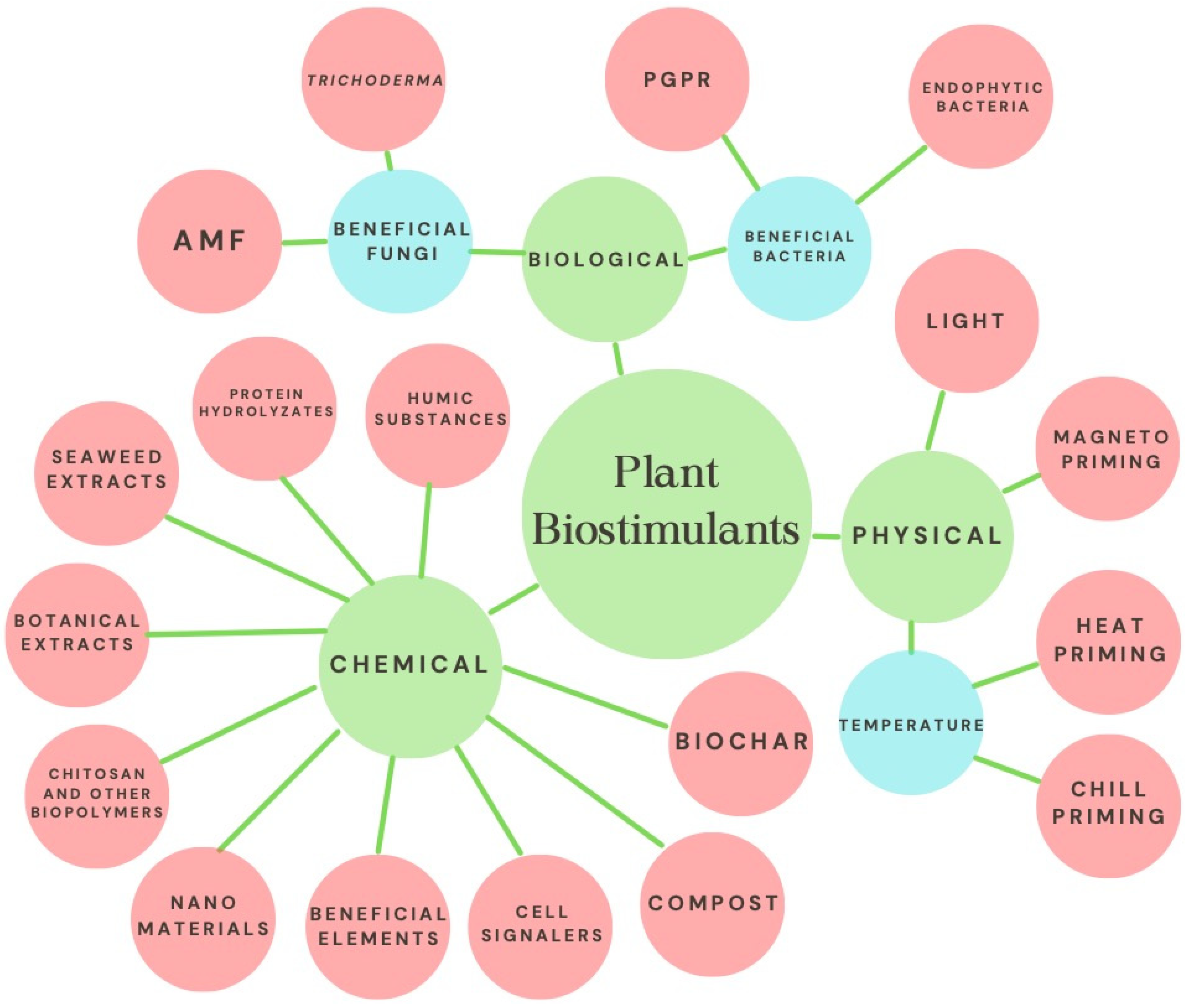 Strawberry Biostimulation: From Mechanisms of Action to