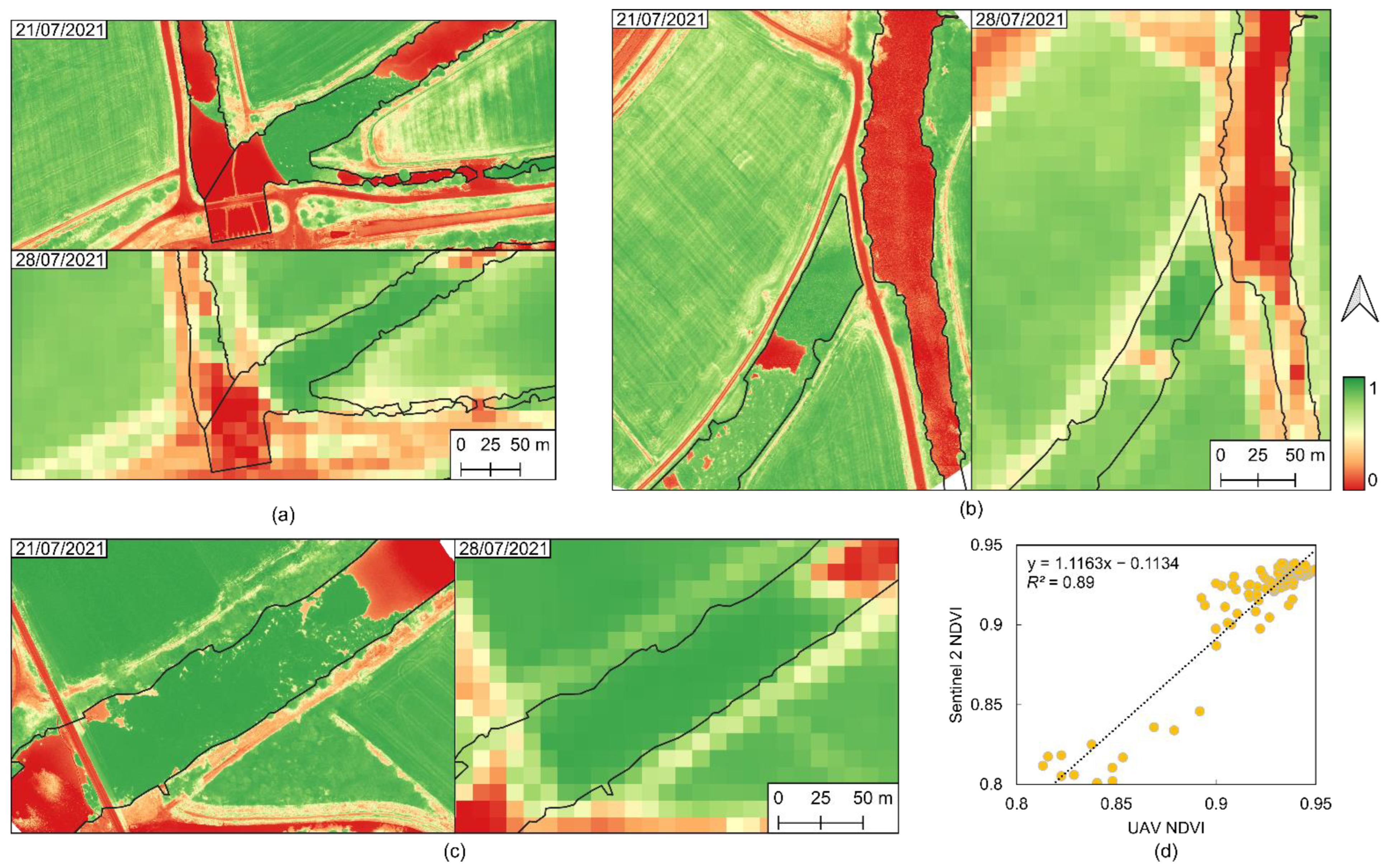 Plants 11 03465 g002