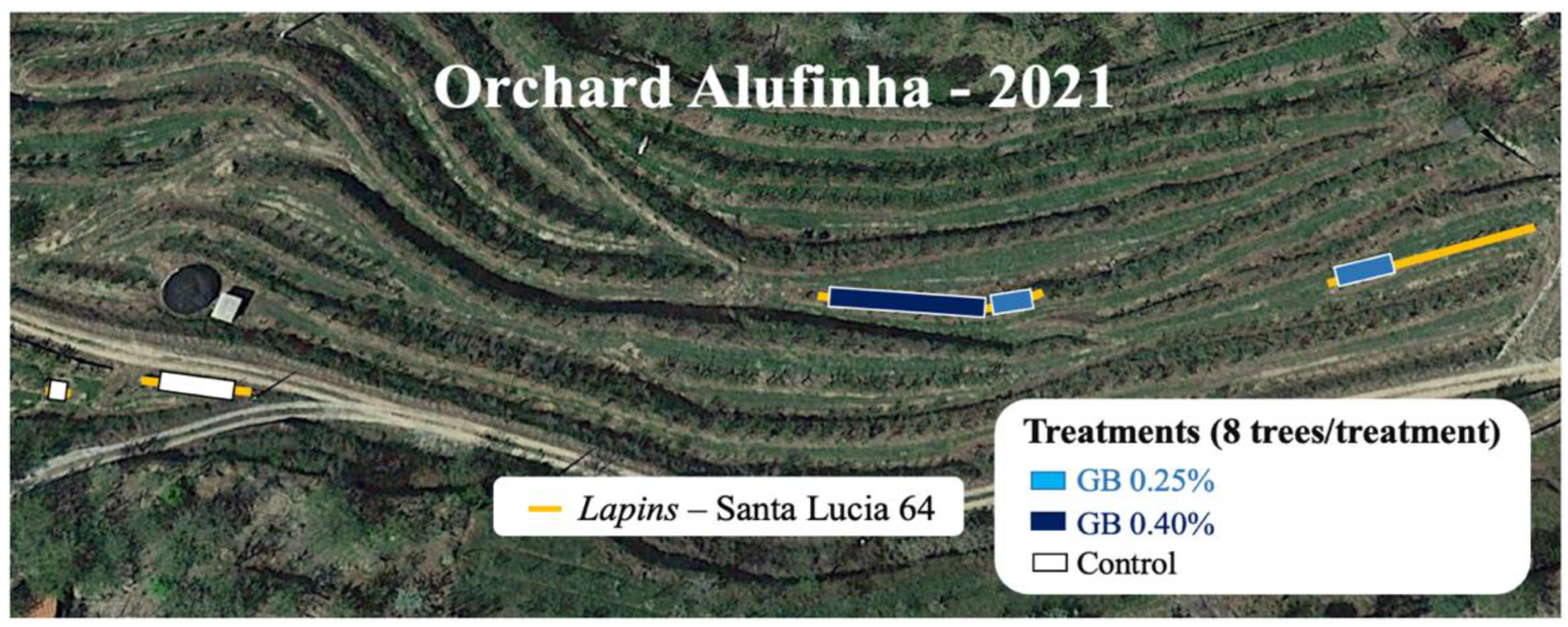 Plants 11 03470 g006 Plants 11 03470 g006