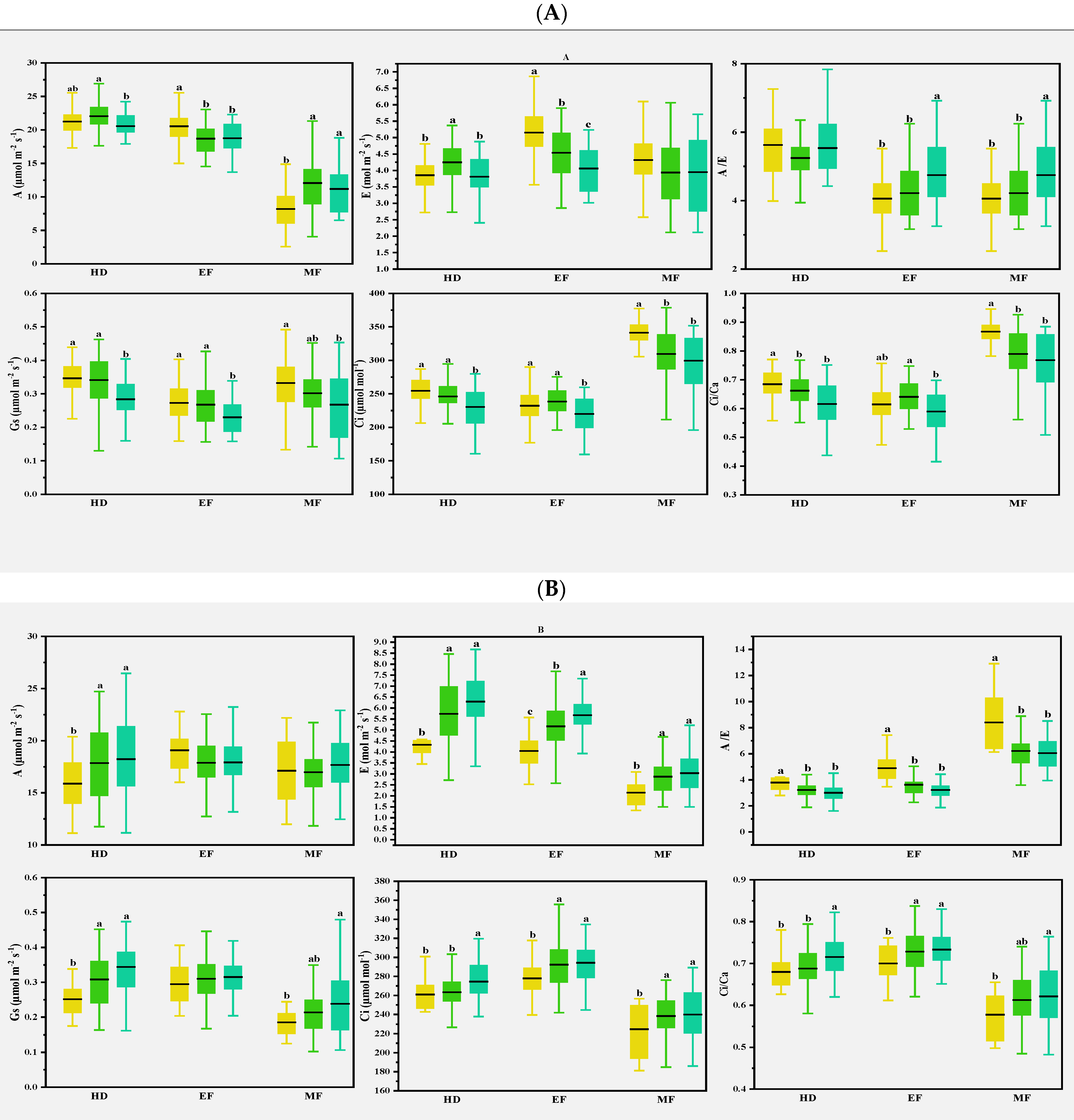 Plants 11 03471 g007a Plants 11 03471 g007a