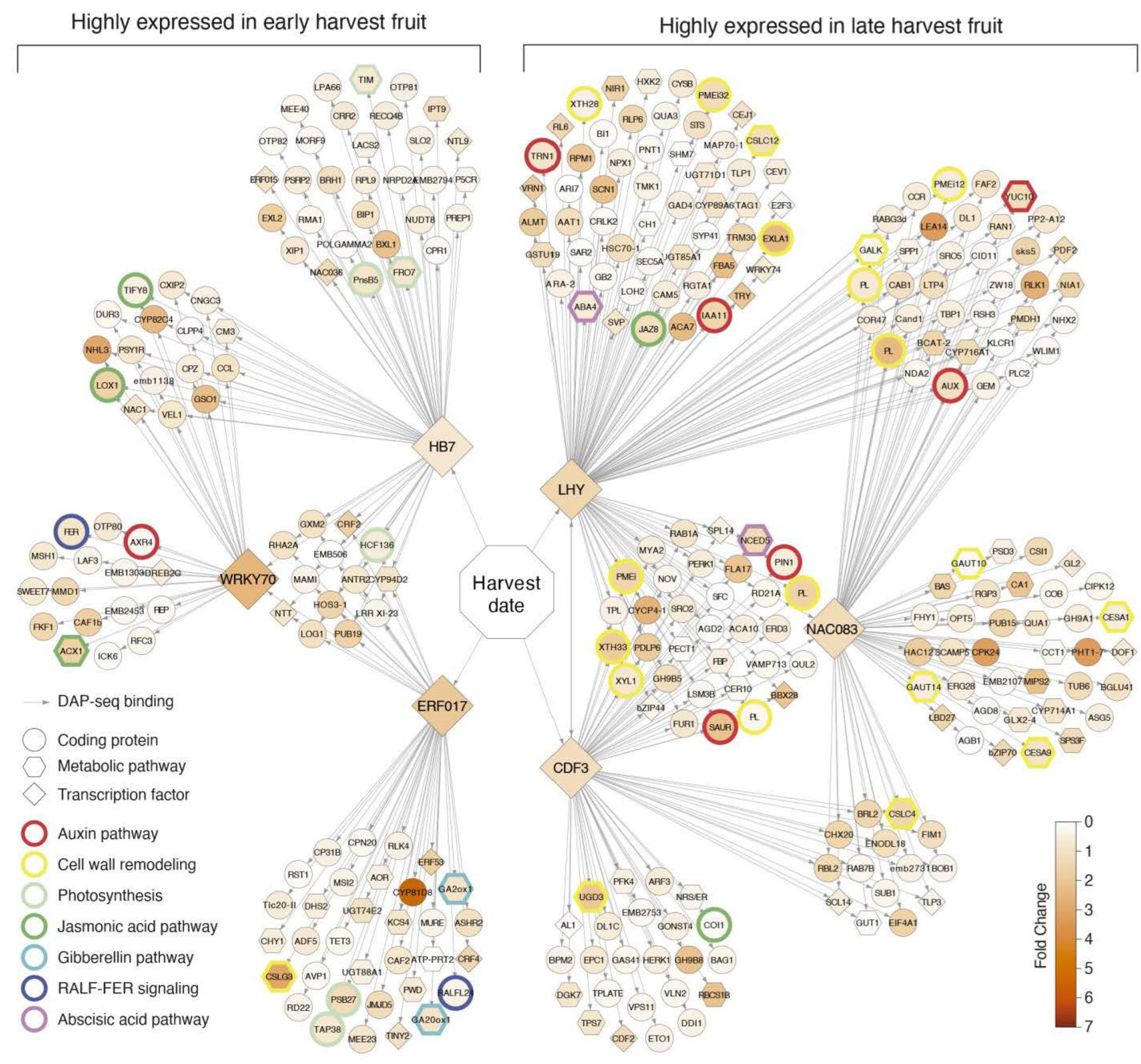 Plants 11 03473 g002 Plants 11 03473 g002