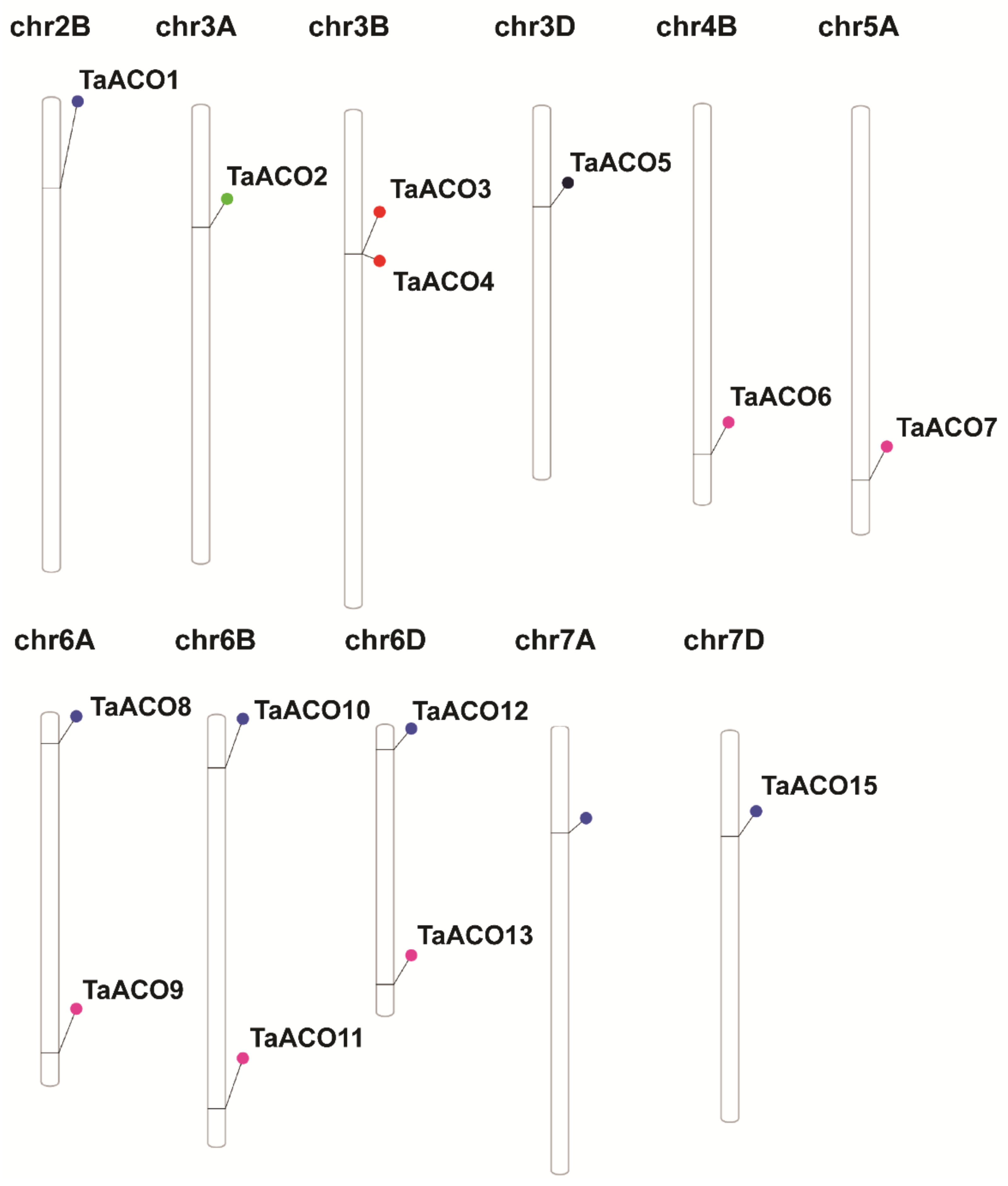 Plants 11 03475 g002 Plants 11 03475 g002