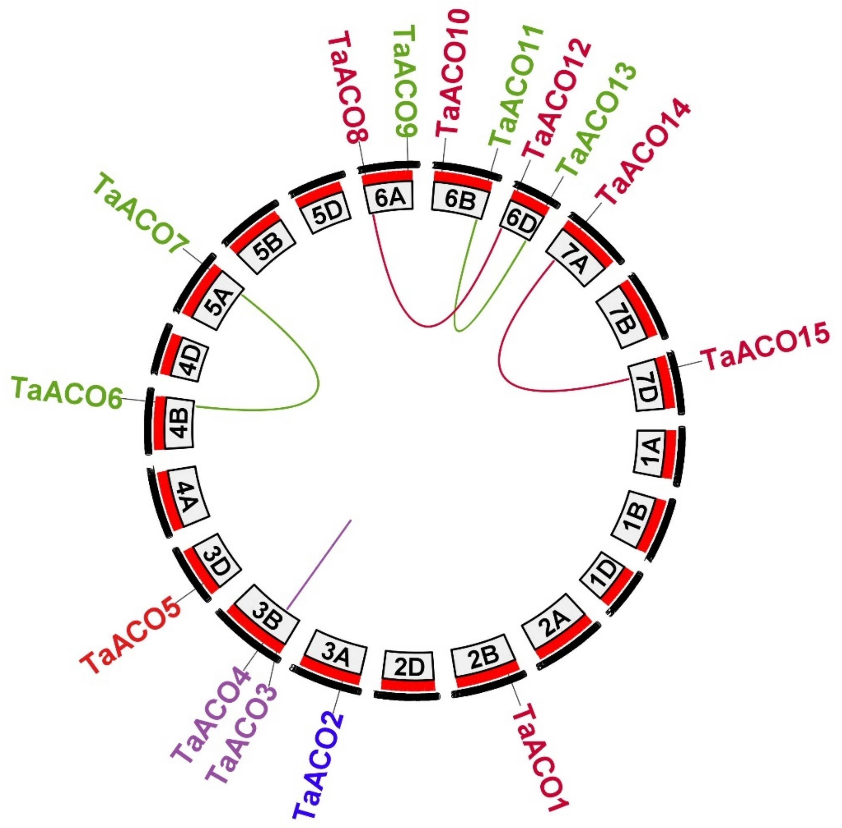 Plants 11 03475 g003 Plants 11 03475 g003