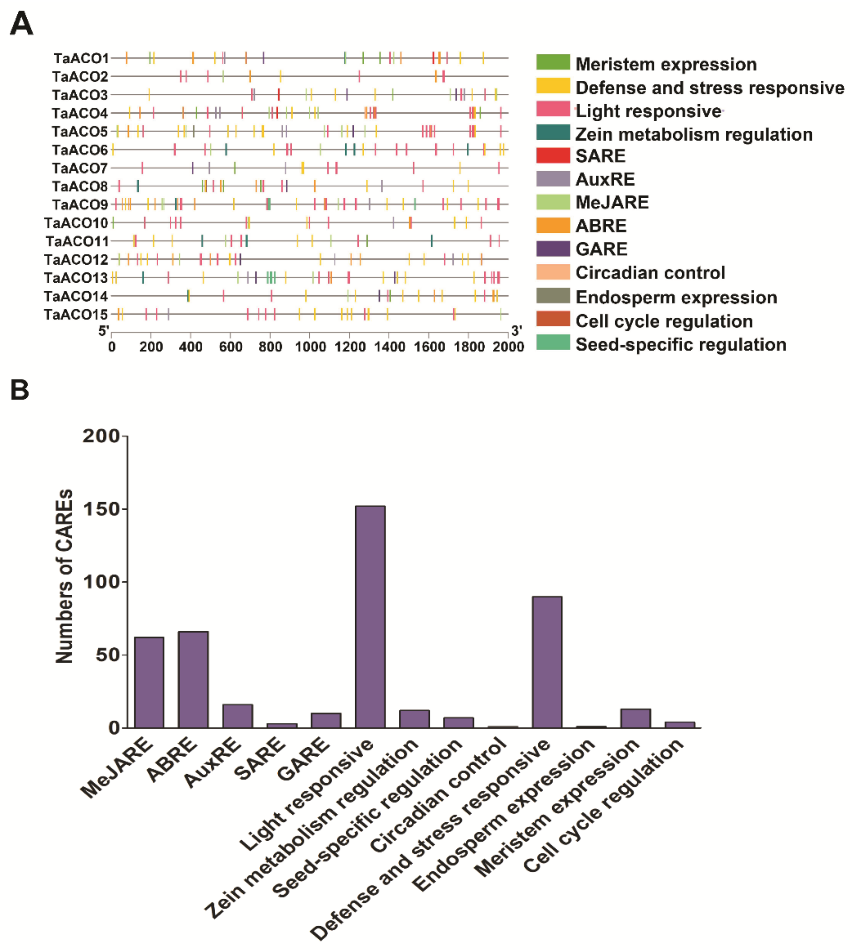 Plants 11 03475 g007 Plants 11 03475 g007