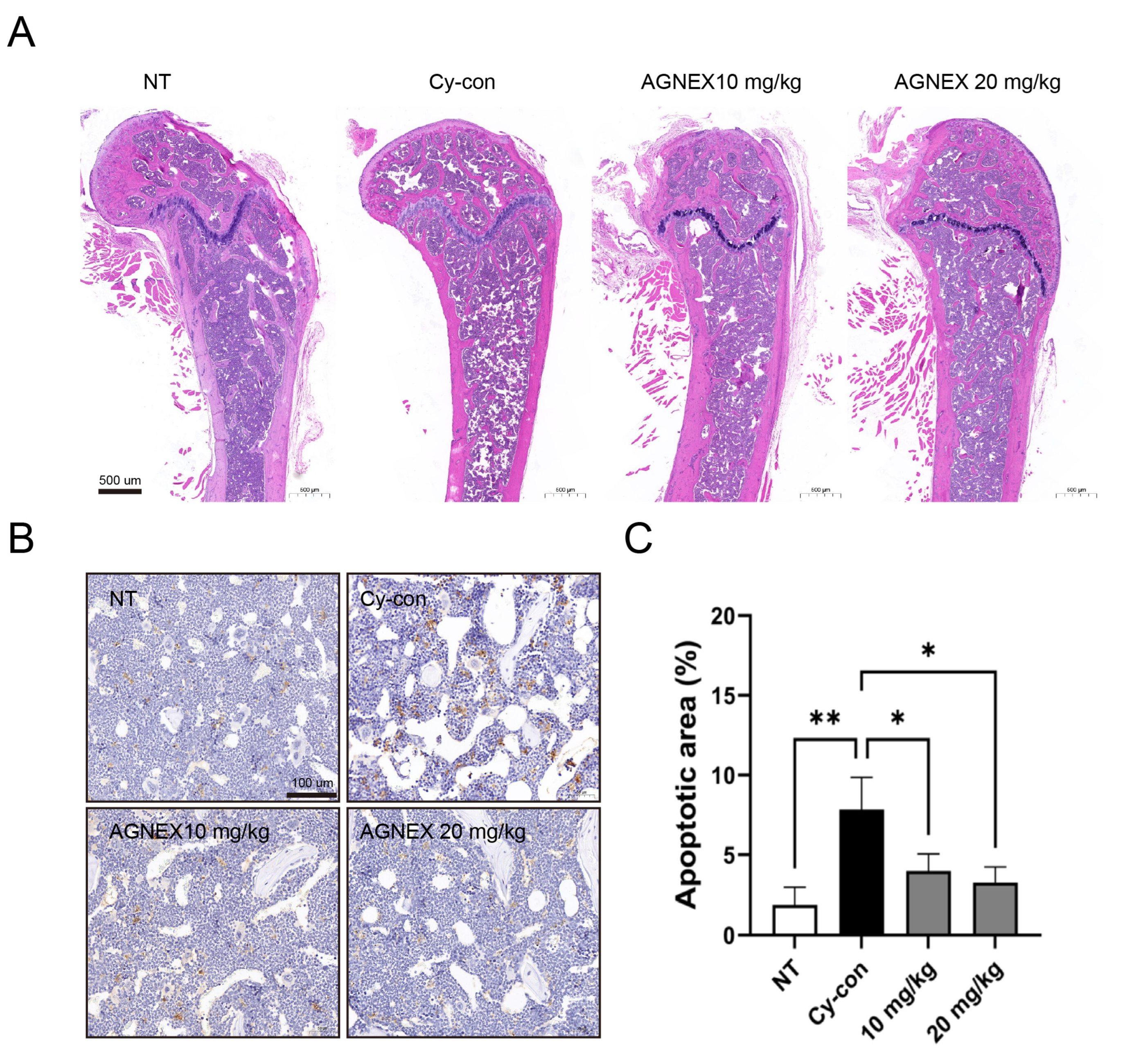 Plants 11 03476 g006 Plants 11 03476 g006
