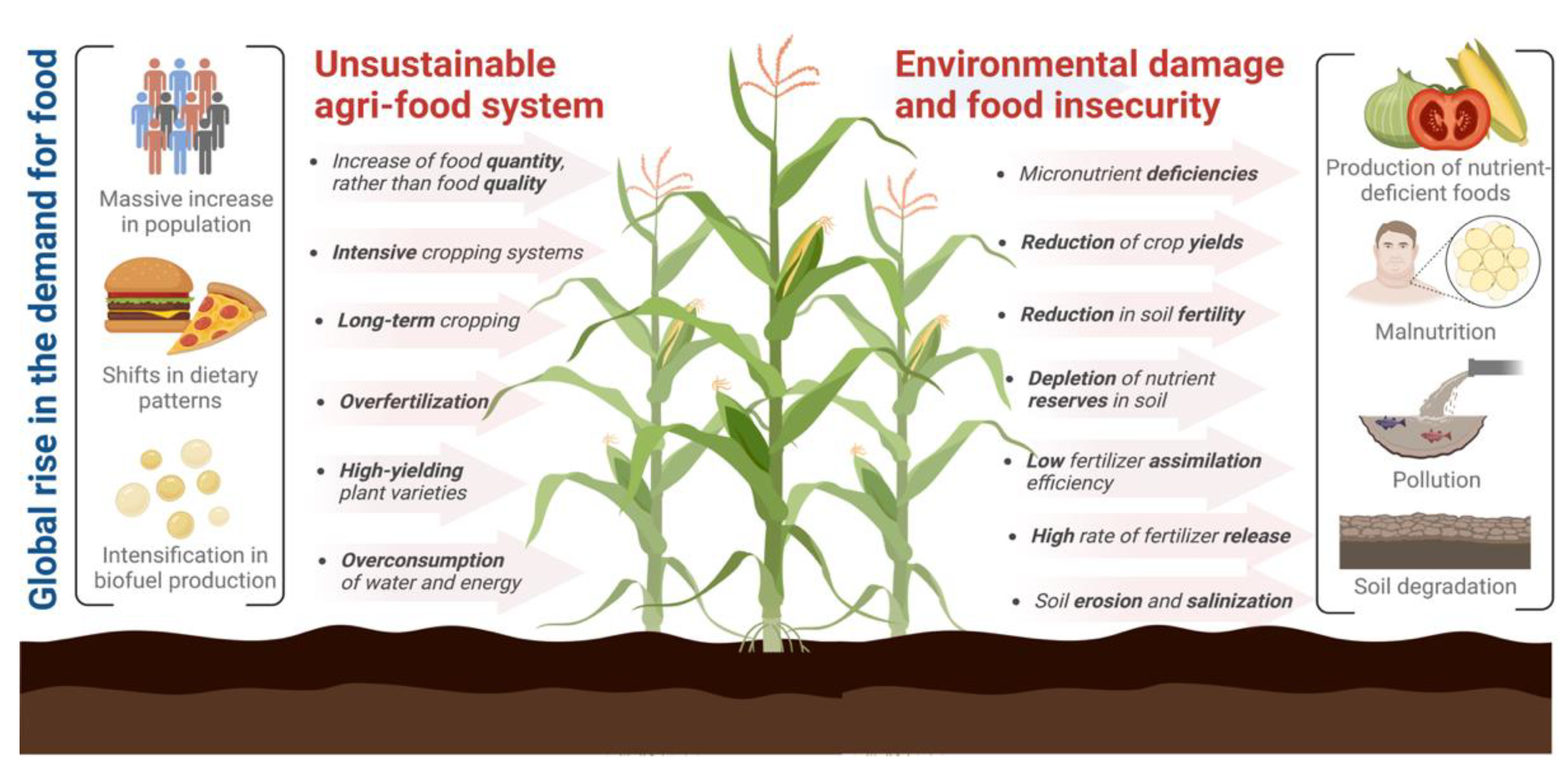 Plants 11 03477 g002 Plants 11 03477 g002