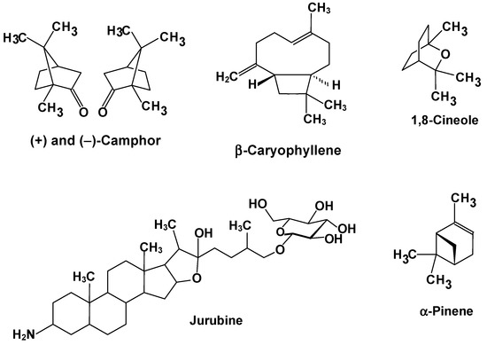 Hepatoprotective Native Plants Documented in Brazilian Traditional