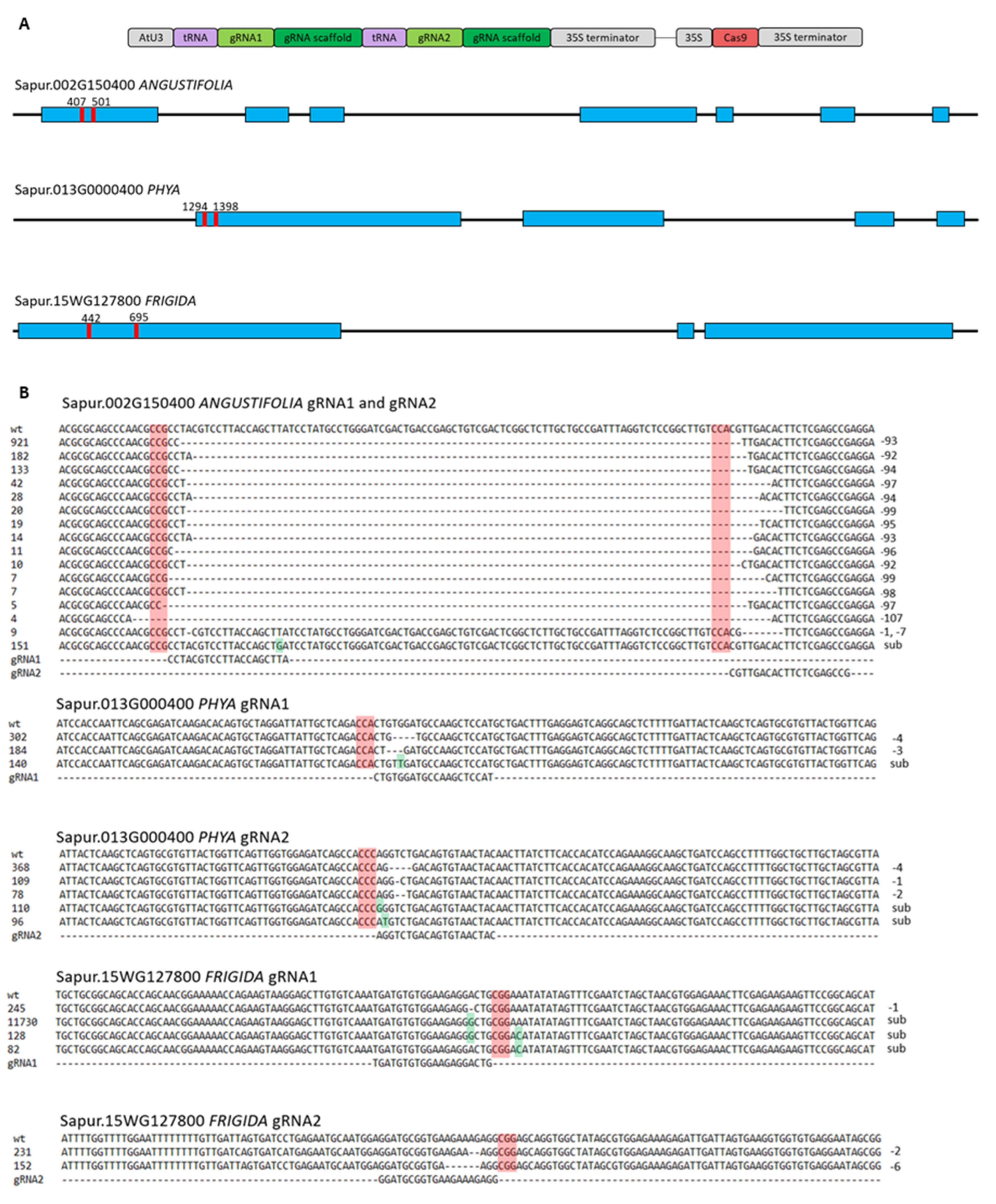 Plants 11 03490 g002 Plants 11 03490 g002