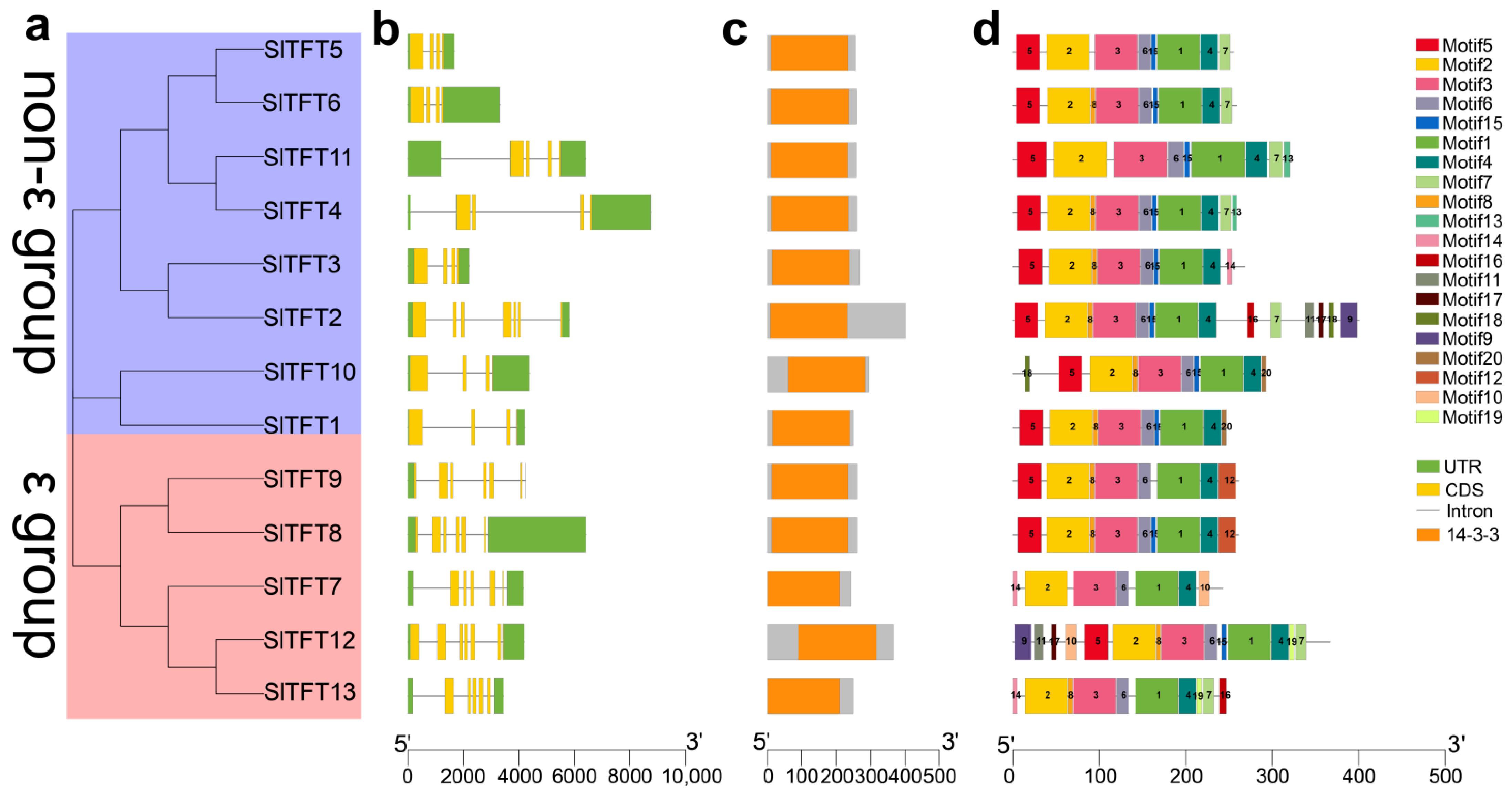 Plants 11 03491 g002 Plants 11 03491 g002