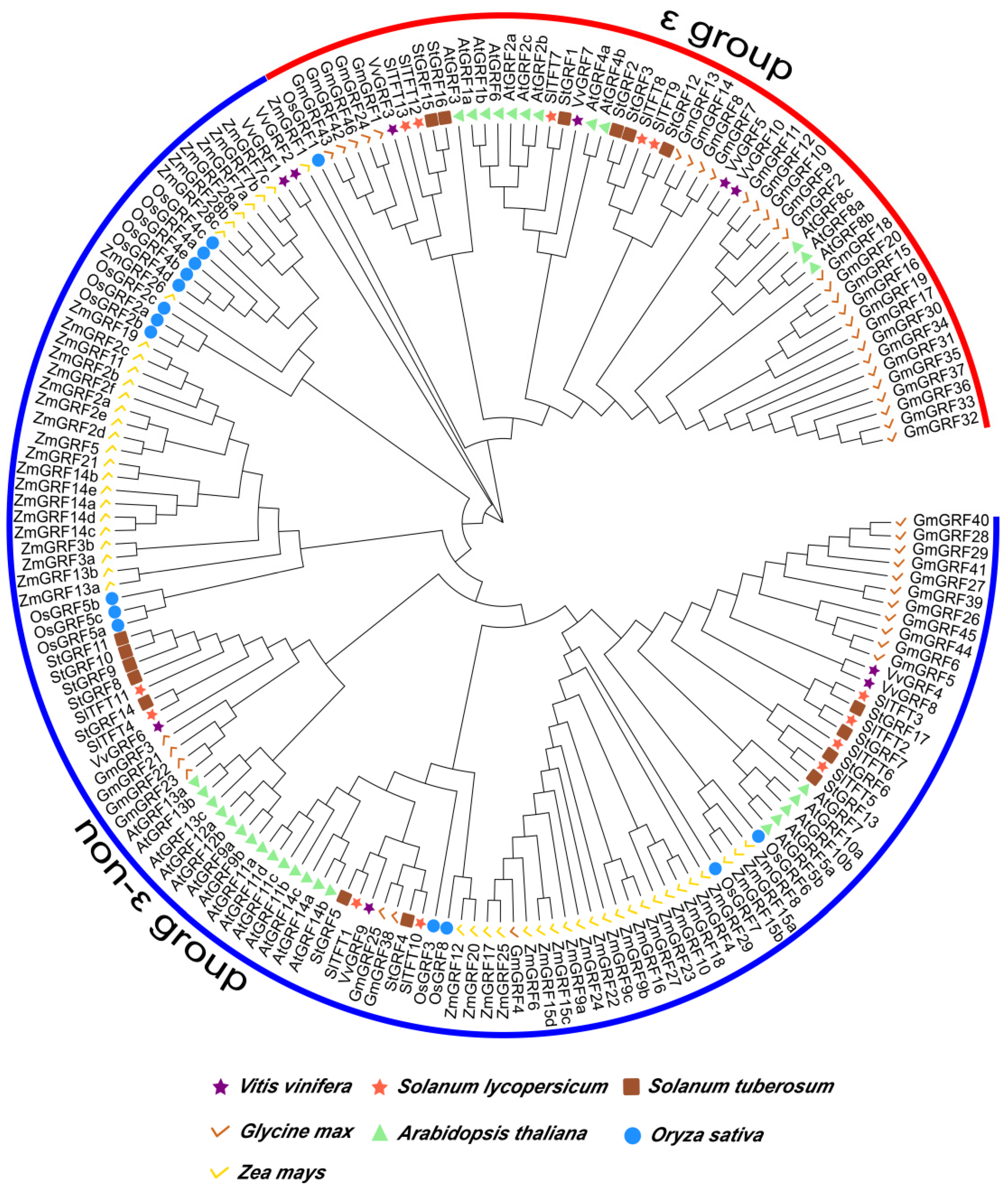 Plants 11 03491 g003 Plants 11 03491 g003
