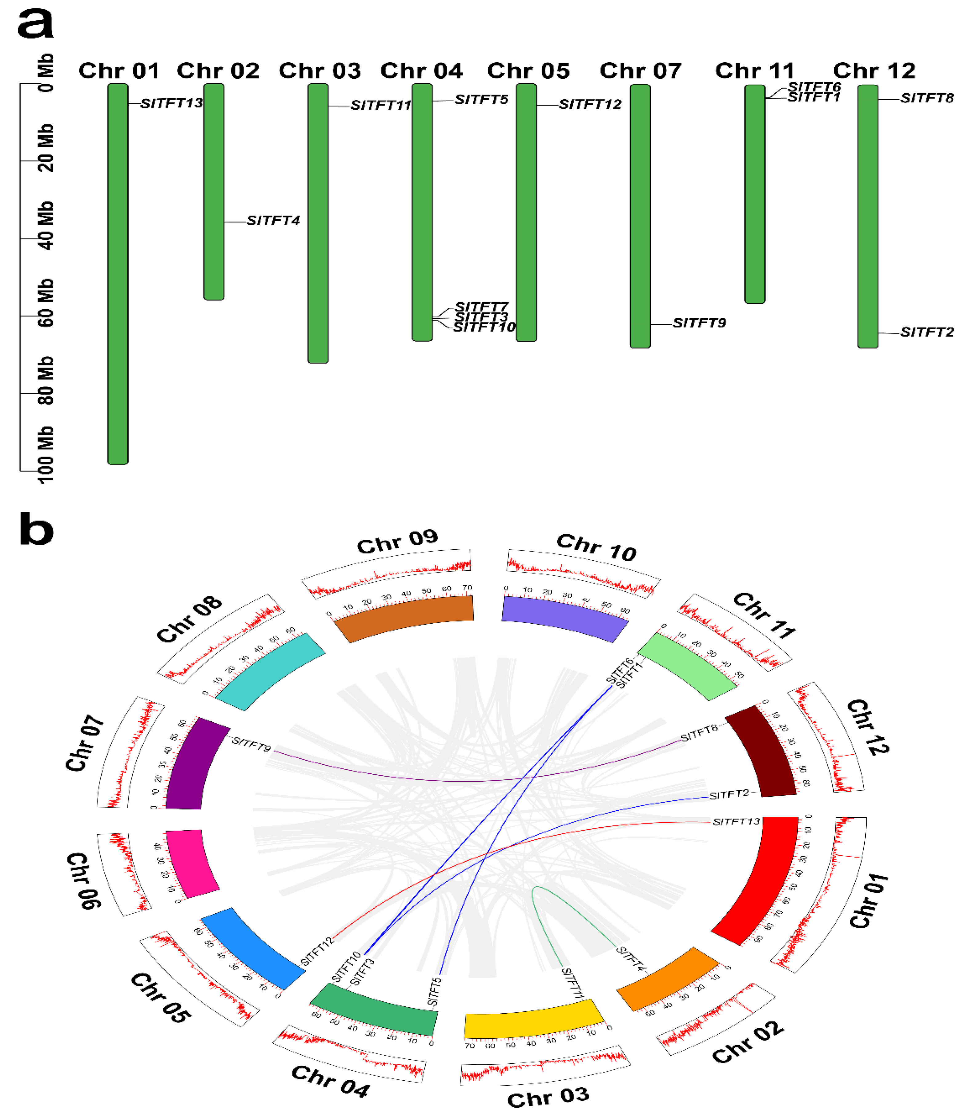 Plants 11 03491 g004 Plants 11 03491 g004