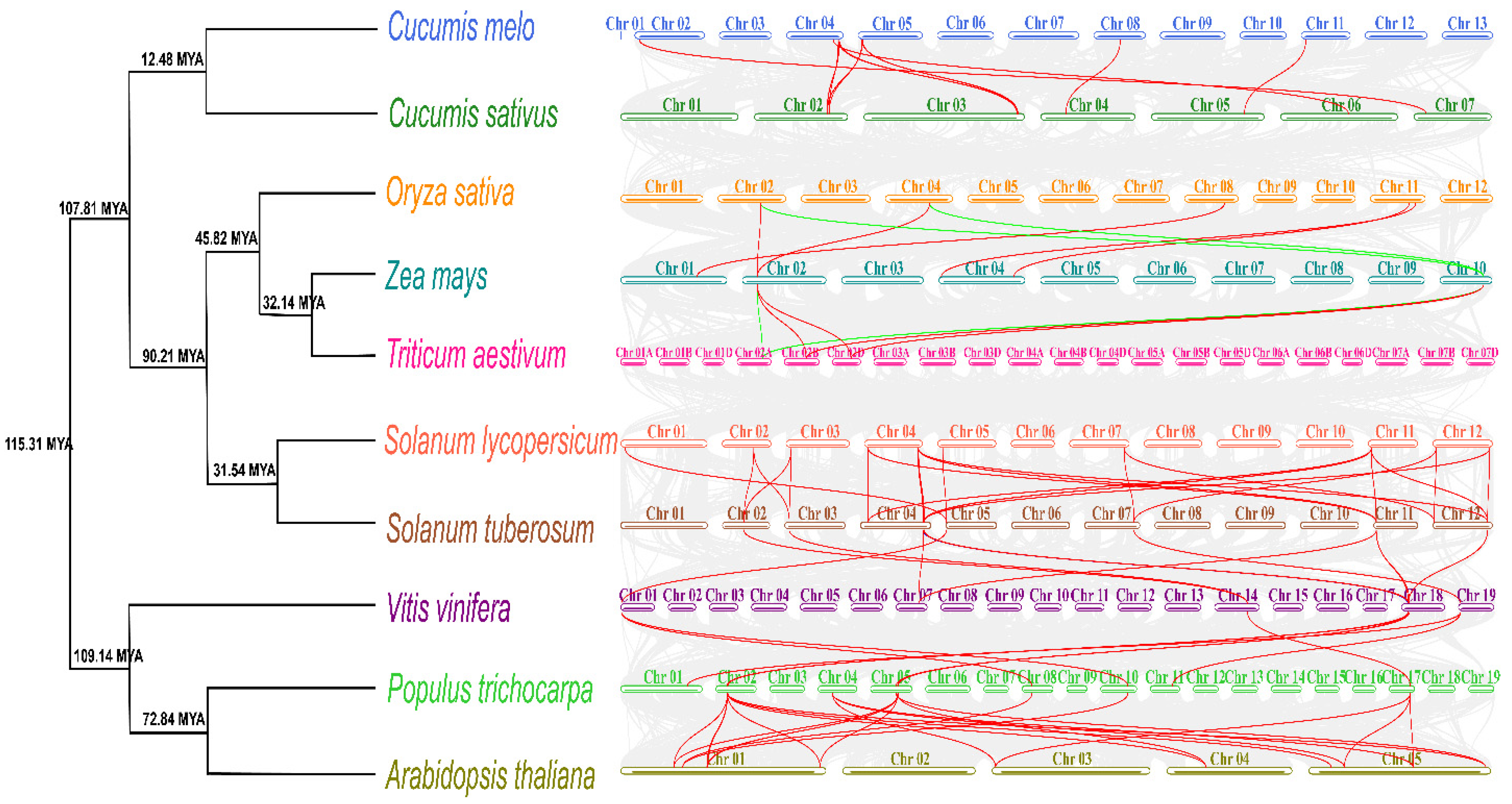 Plants 11 03491 g005 Plants 11 03491 g005