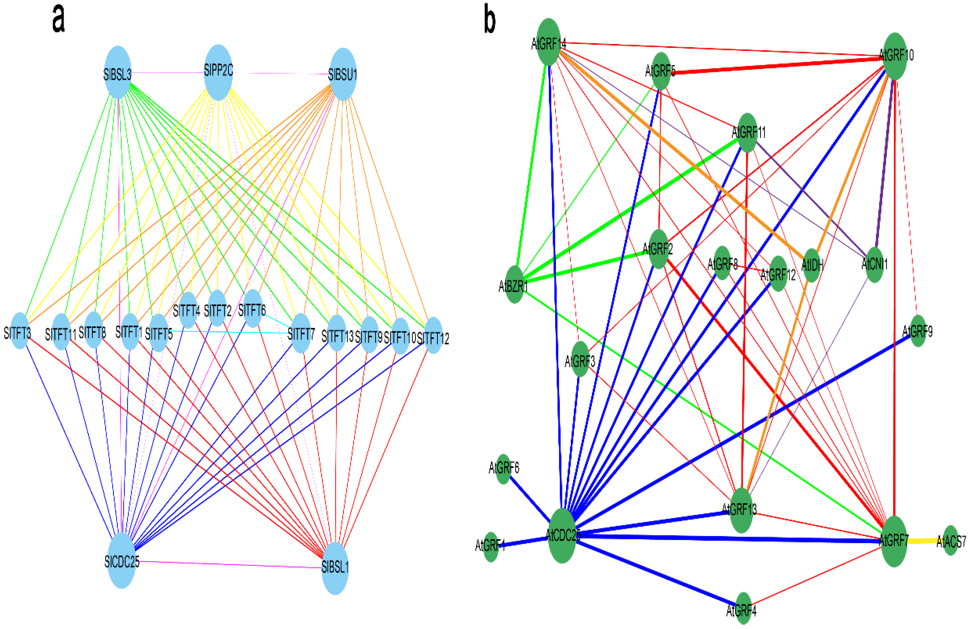 Plants 11 03491 g010 Plants 11 03491 g010
