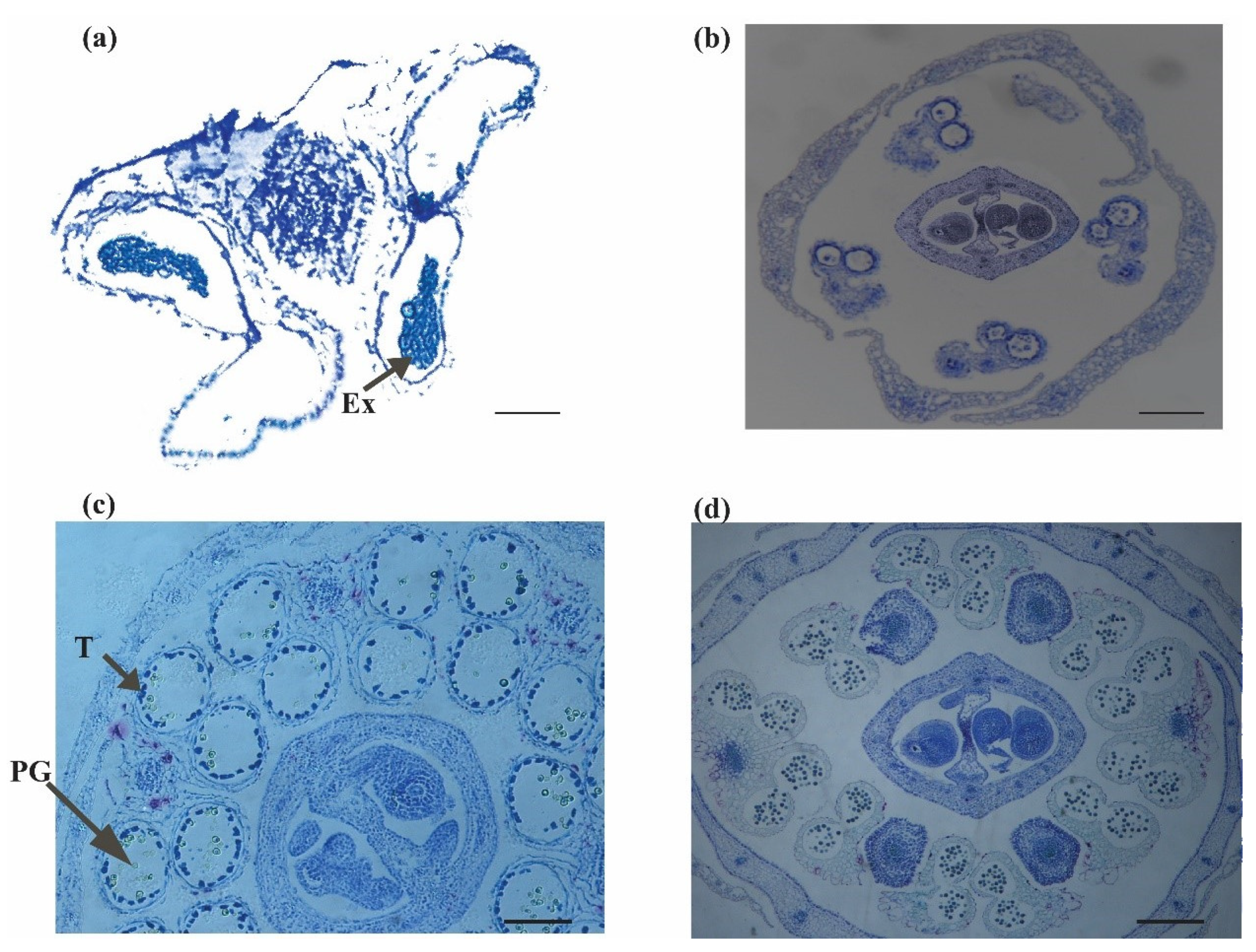 Plants 11 03501 g009