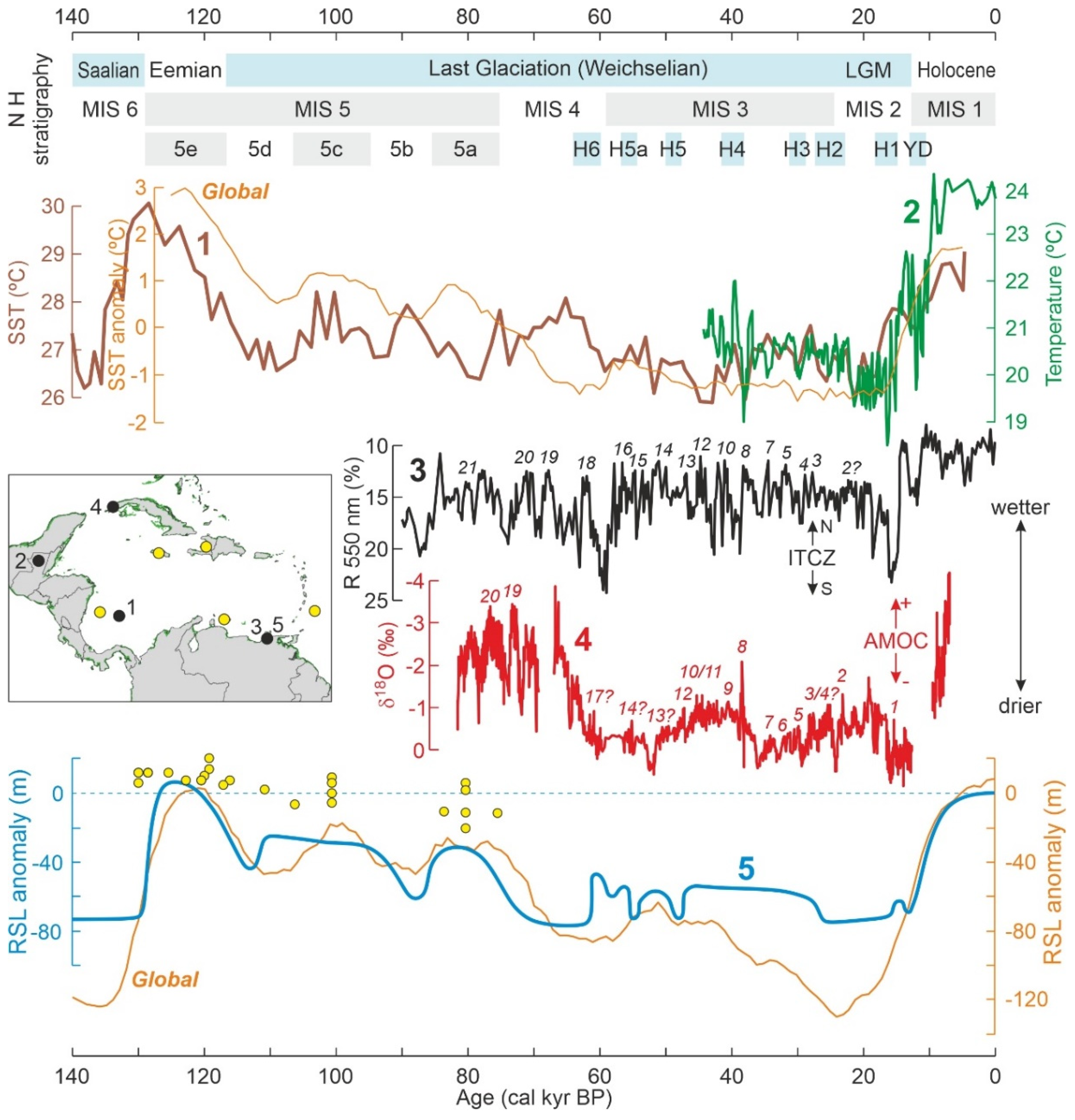 Plants 11 03502 g009 Plants 11 03502 g009