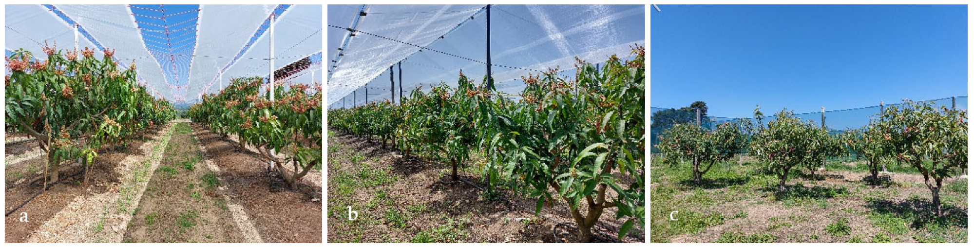 Plants 11 03510 g009 Plants 11 03510 g009