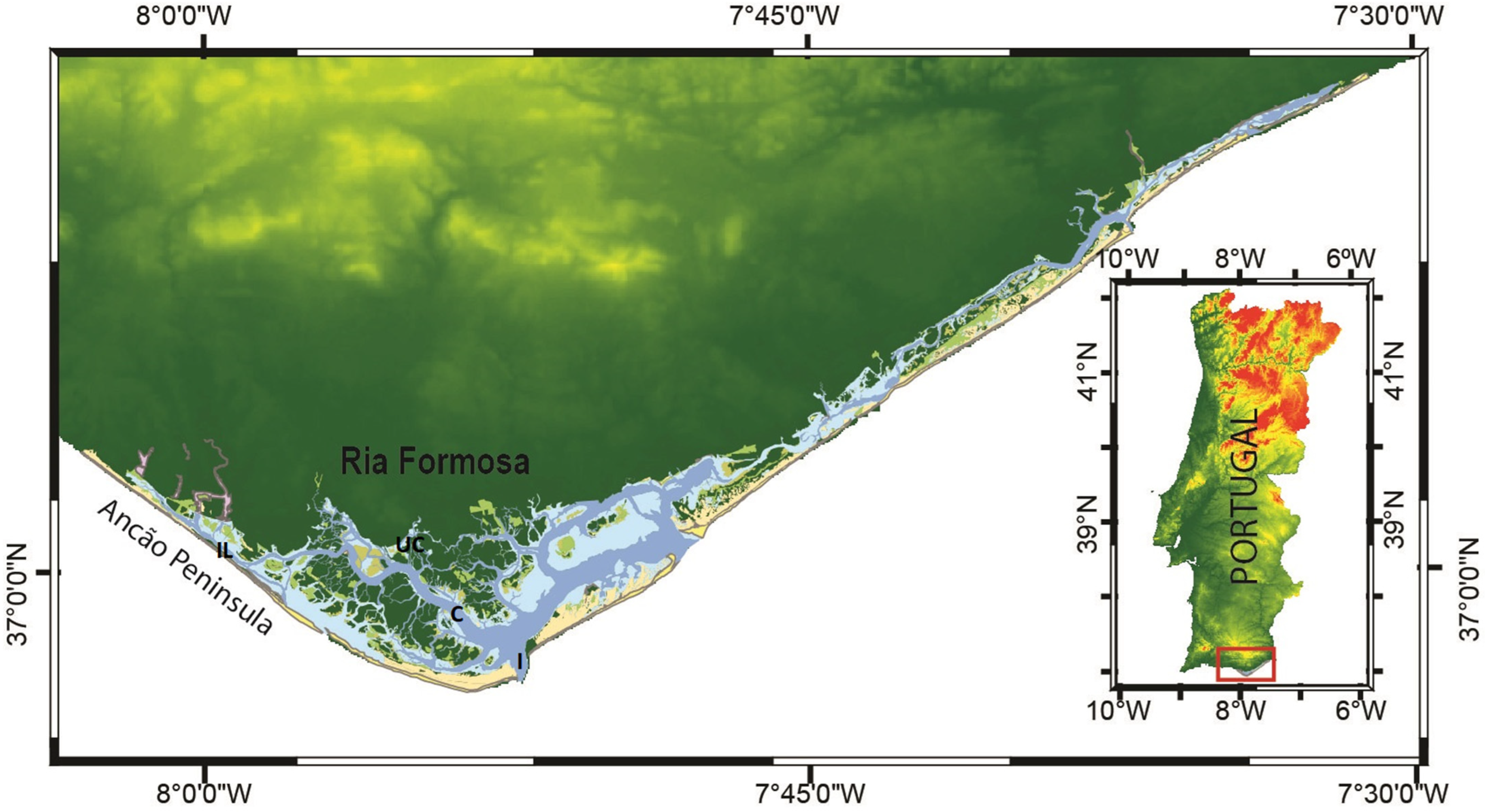 Plants 11 03511 g003