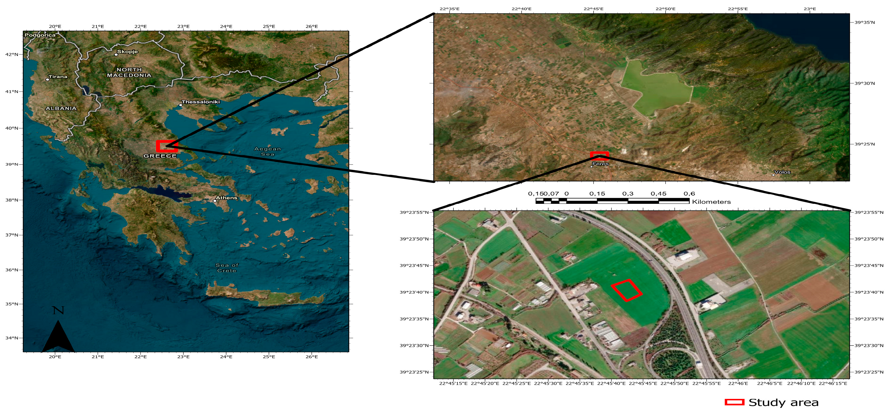 Plants 11 03513 g002