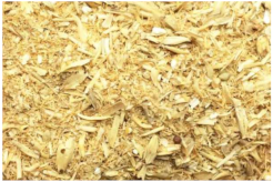 Plants 11 03519 i017